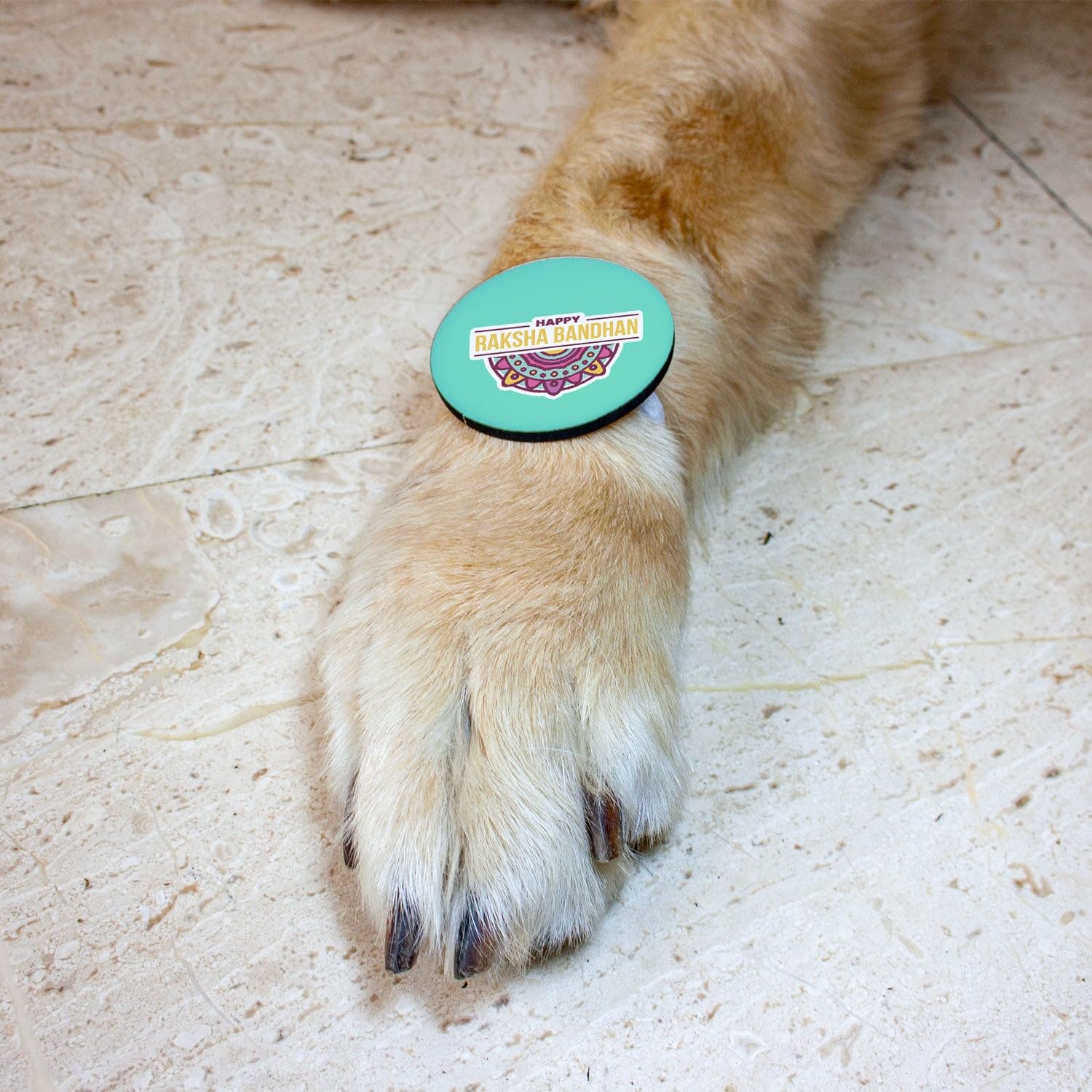 Ruse Dog & Cat Rakhi Happy Raksha Bandhan Printed Rakhi Happy Raksha Bandhan Special Crafted with Anti Chafing Elastic Band for Bro/Boys Dogs & Cats (Green/S) (B0CG3H131Z) Amazon Price History, Amazon Price Tracker