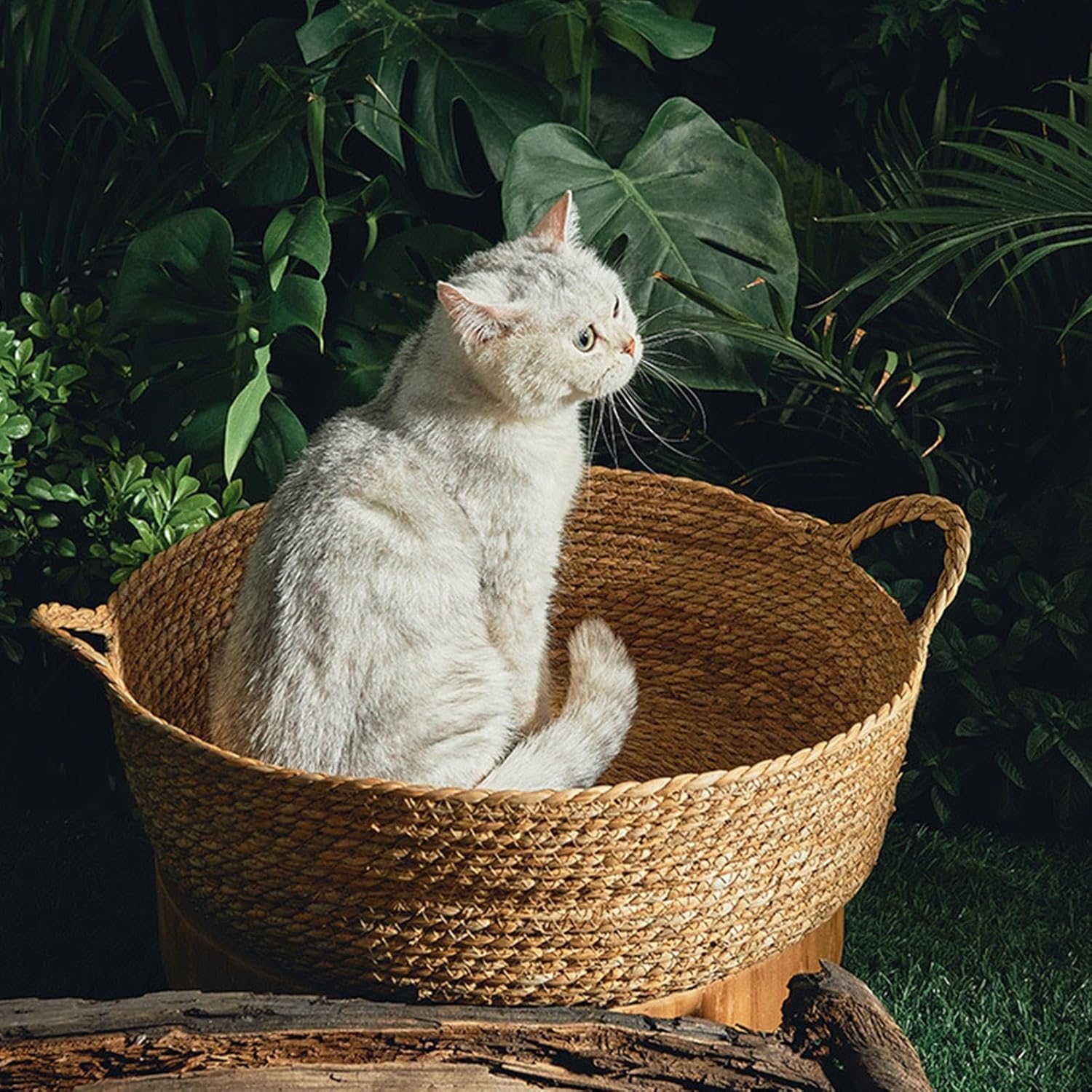 MYCENSE Cat Bed Basket Cat Scratch Mat Indoor Nest Handmade Winter Summer Round Grass Woven Cat Bed Pet Scratching Sleeping Bed for Indoor Cats, 46cmx15cm