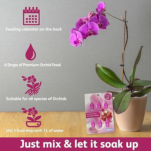 Miniatura 3 de Chrysal Gotas de alimento para orquídeas, cuidado de orquídeas, suministro de un paquete por año, alimento concentrado para flores para todas las