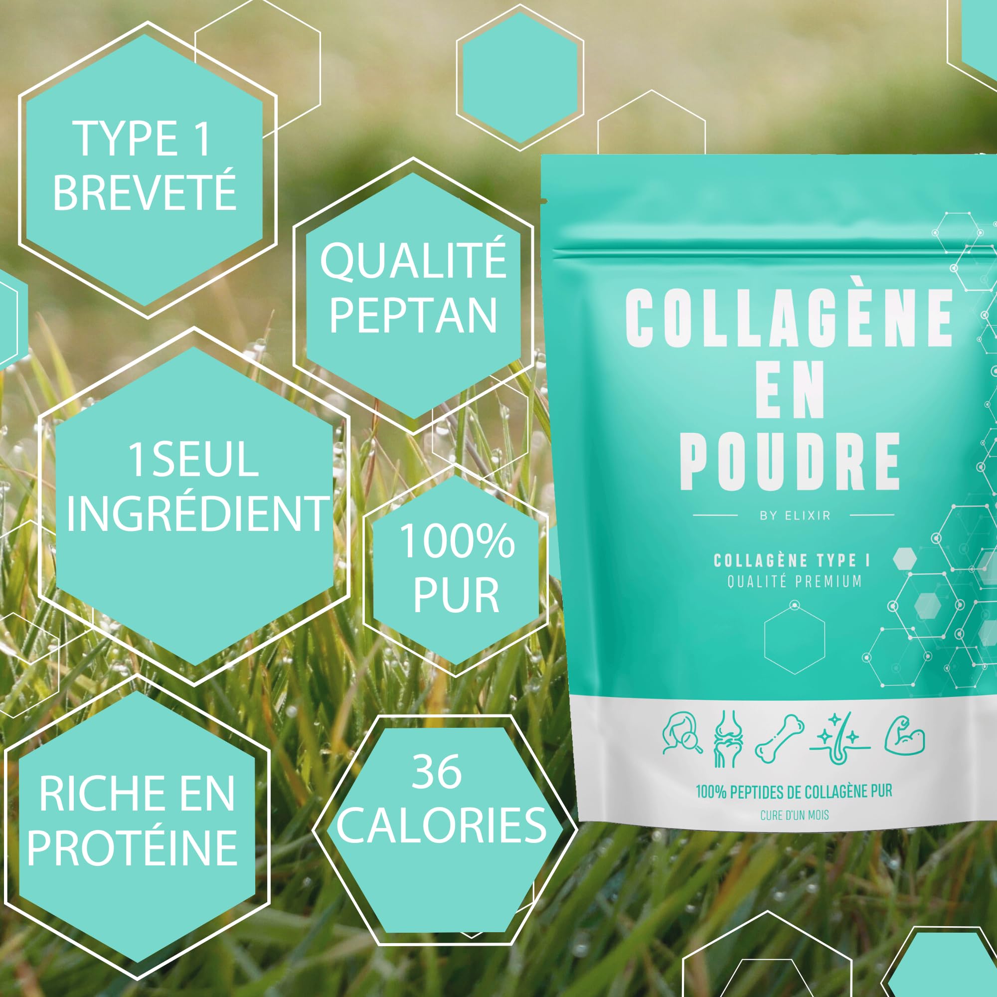 Collagène Hydrolysé Breveté Pepan Type I en poudre - 310g Proteine pour la Peau, Cheveux, Musculation, Articulations - Élaboré en France.