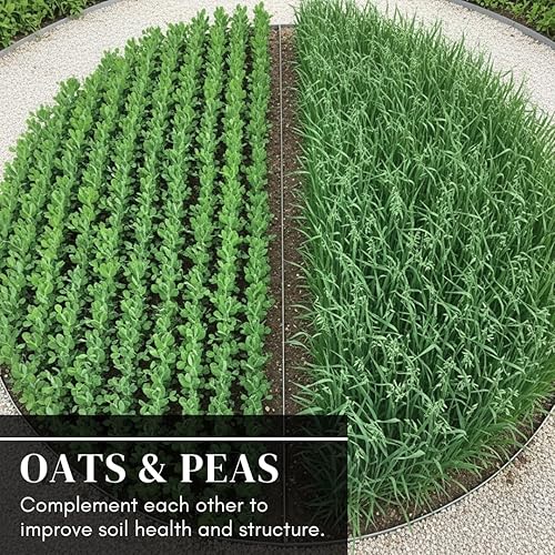 Miniatura 3 de Parcelas de comida para ciervos  Guisantes y avena cubren semillas de cultivo  Crecimiento rápido, uso en primavera u otoño (5 libras)