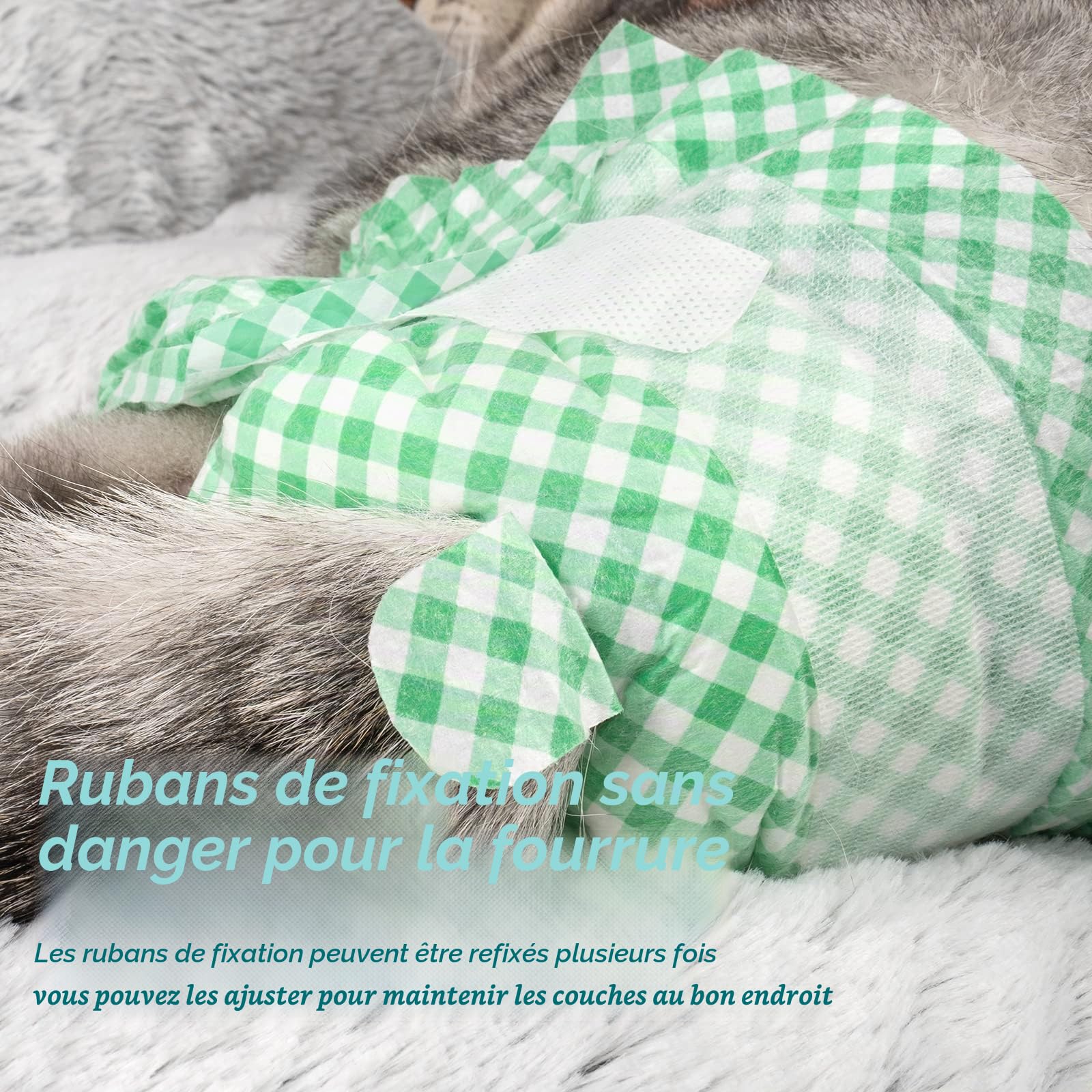 MICOOYO Couche Chien Femelle, Couch Chat Super Absorbantes pour Petits Chats et Chiennes, Pantalons Jetables pour Chiennes en Chaleur (XS,Vert)