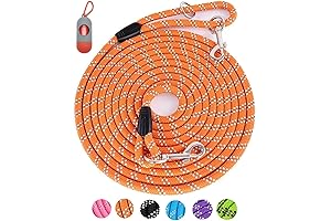 The Ultimate Long Dog Leash  for Enhanced Training and Outdoor Adventures