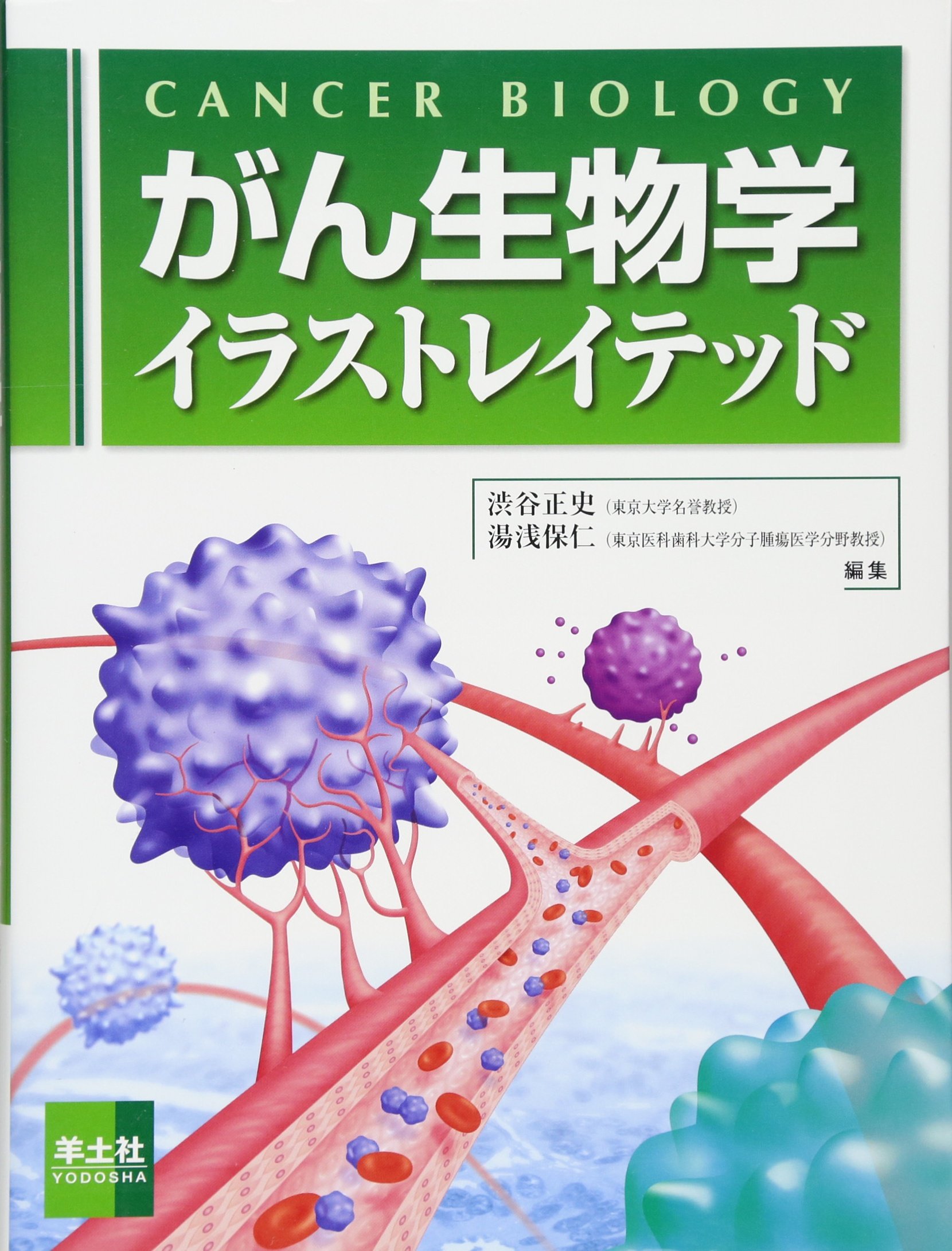 がん生物学イラストレイテッド 正史 渋谷 保仁 湯浅 本 通販 Amazon がん生物学イラストレイテッド 正史 渋谷 保仁 湯浅 本 通販 Amazon