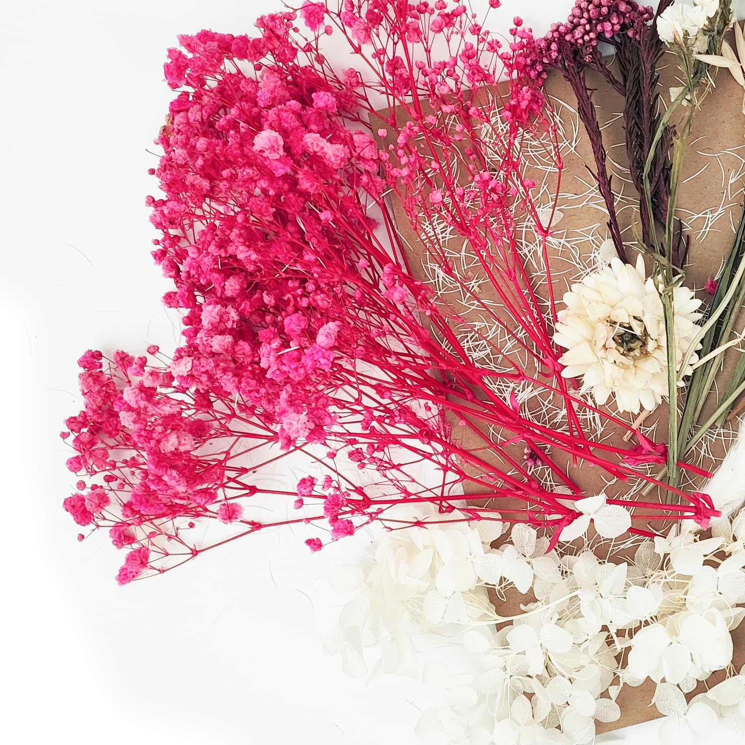 Dried Flowers - Image 3