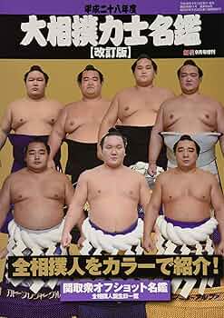 81aN6pH7oyL._AC_UF350,