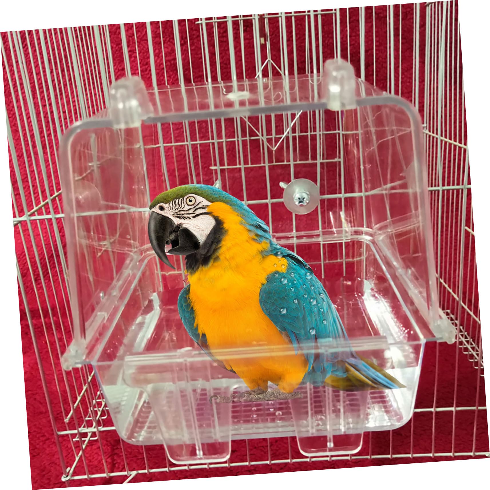 Mipcase Parrot Bath Cage Durable Transparent Bird Bath with Hanging Hooks Portable Design for Birds Shower Feeder for Budgies and Other Pets