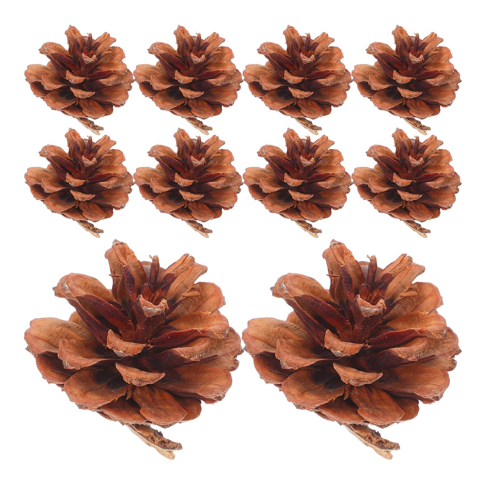 Ciieeo 130stücke Mini-Natur-kiefernzapfen für Herbst und Winterdekoration als Vasenfüller für Thanksgiving und Weihnachtsbastelarbeiten für DIY-projekte und Saisonale Dekorationen
