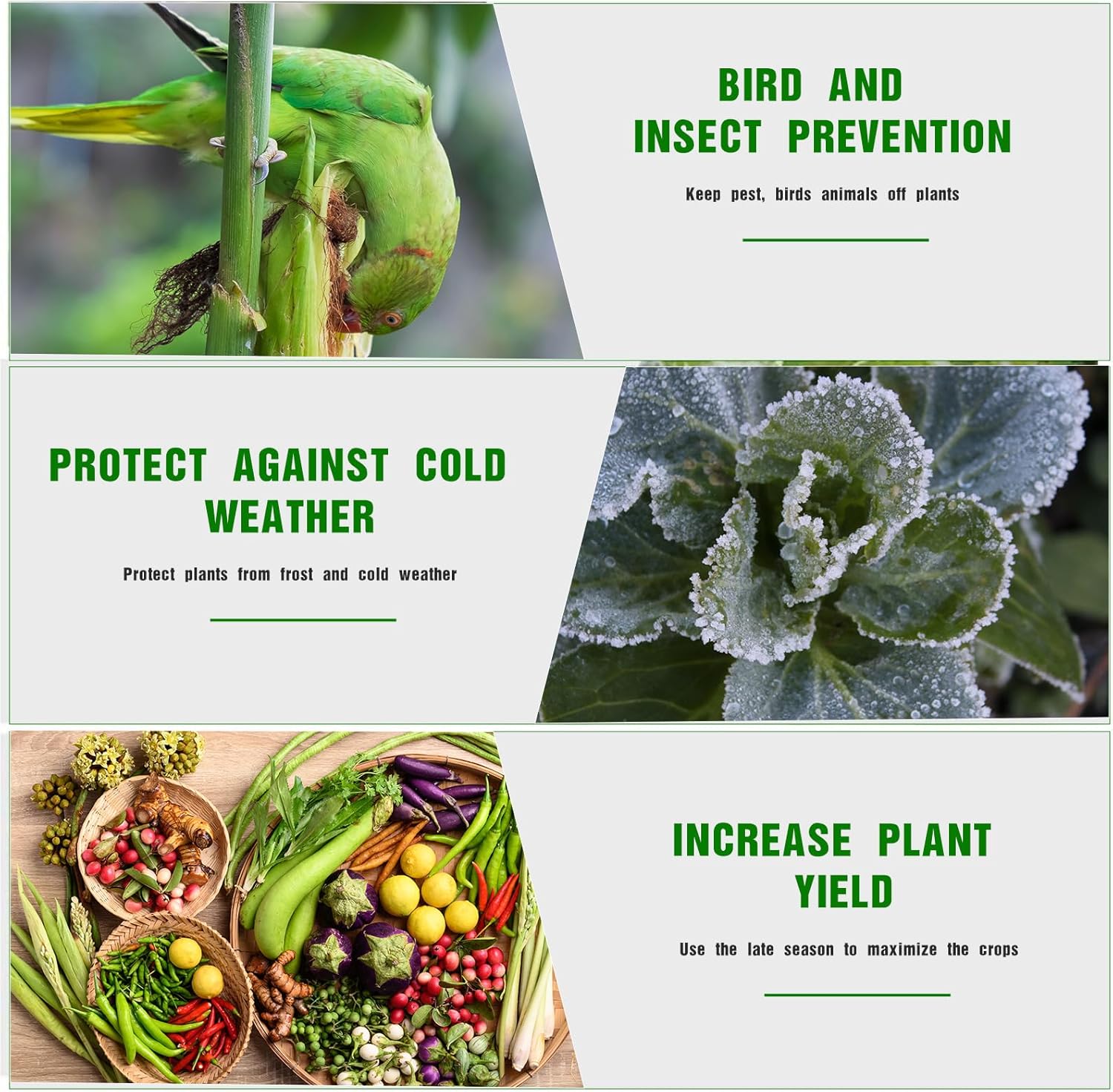 Windyun Plant Covers Freeze Protection Garden Floating Row Cover Frost Cloth Blanket for Winter Cold Weather Sun Protection Outdoor Plant Vegetables(8 x 100 ft)