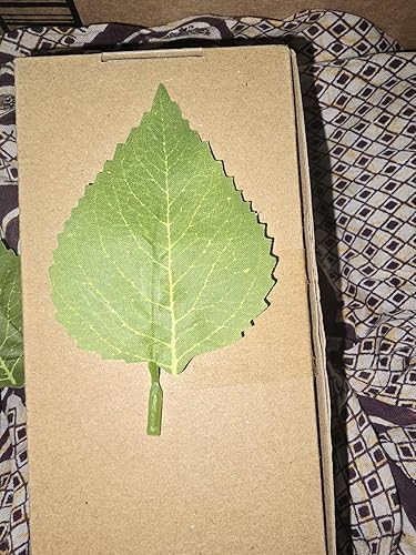 ubuy Turkmenistan