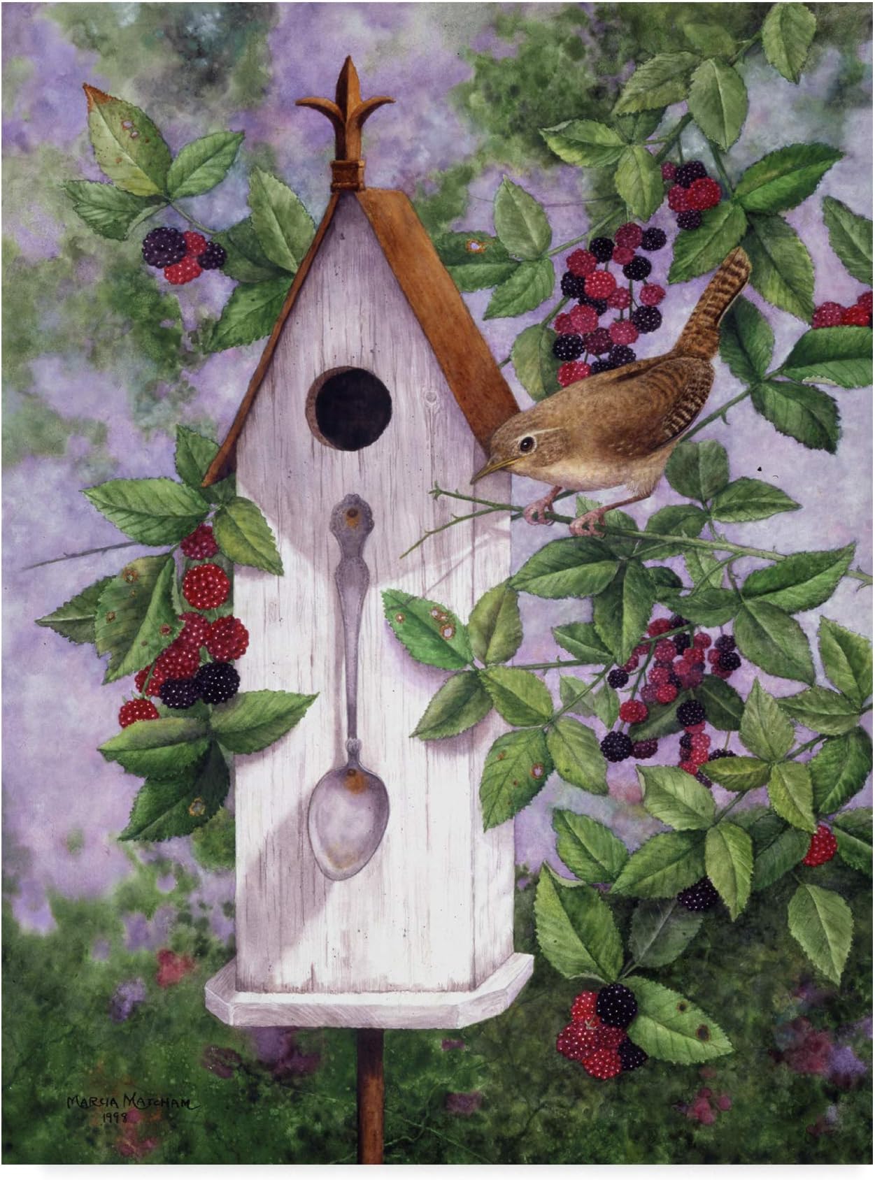 Trademark Fine Art Wren House by Marcia Matcham, 18x24