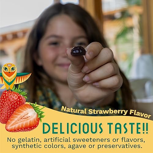 Miniatura 4 de Ashwagandha KSM-66 - Gomitas para niños y adolescentes, extracto de raíz orgánica pura, suplemento ayurvédico, gomita, apoyo para el estado de