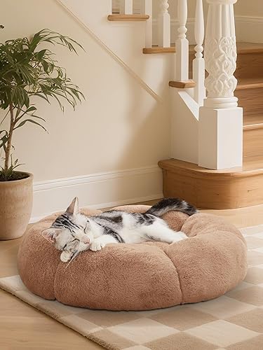 OhGeni Cama calmante para perros y gatos de 20 pulgadas para mascotas pequeñas, cálida y cómoda, mullida y esponjosa, lavable a máquina, bonita cama