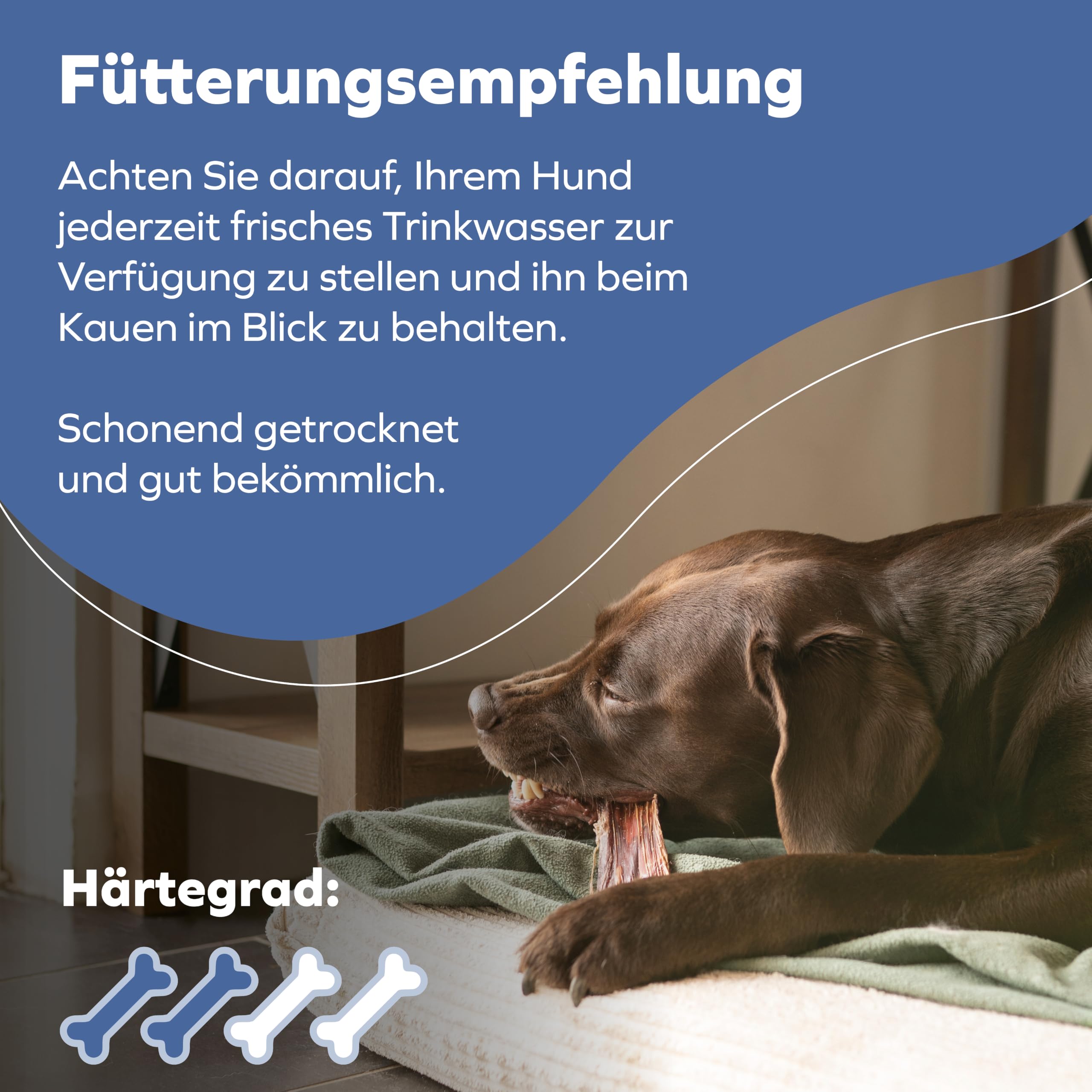 Rinderdörrfleisch für Hunde - 8-12 cm leckere Kaustangen - Hundeleckerli aus Trockenfleisch - 1000g Hundesnack
