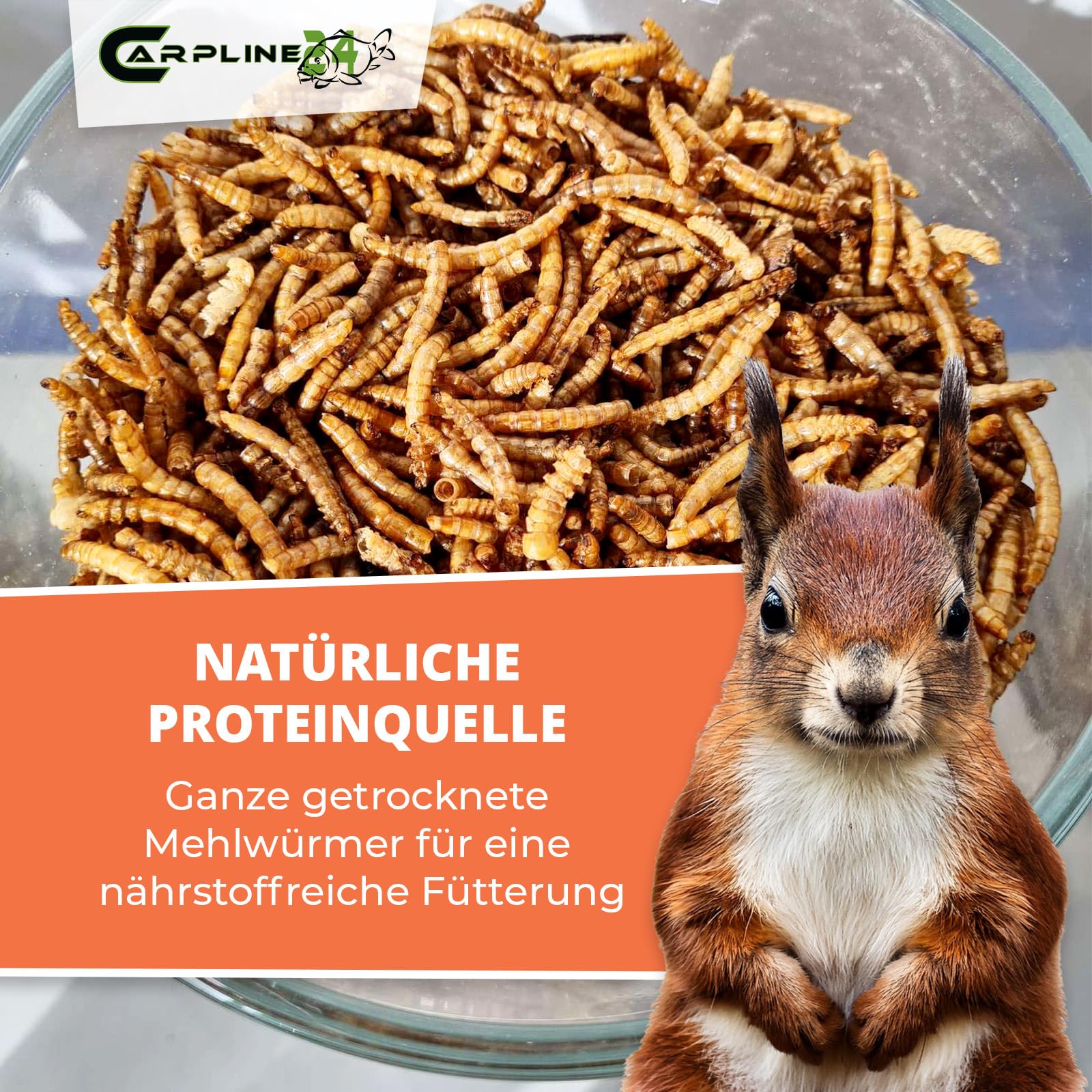 Getrocknete Mehlwürmer 1000 ml - Proteinreiche Insekten als Futter für Reptilien, Nager, Igel & Fische, Vogelfutter, Winterfutter