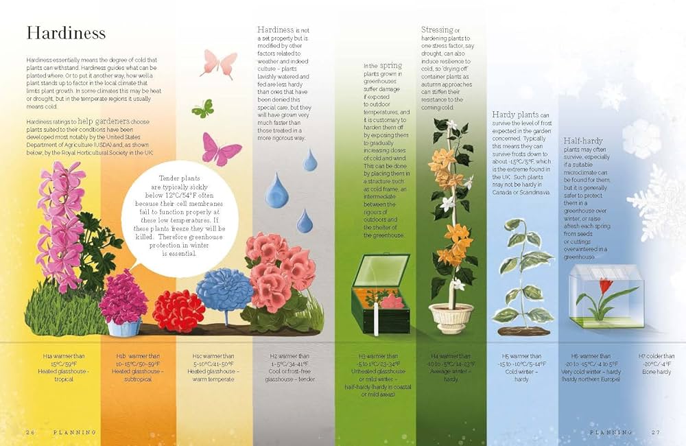 Flora: The Graphic Book of the Garden: Barter, Mr. Guy