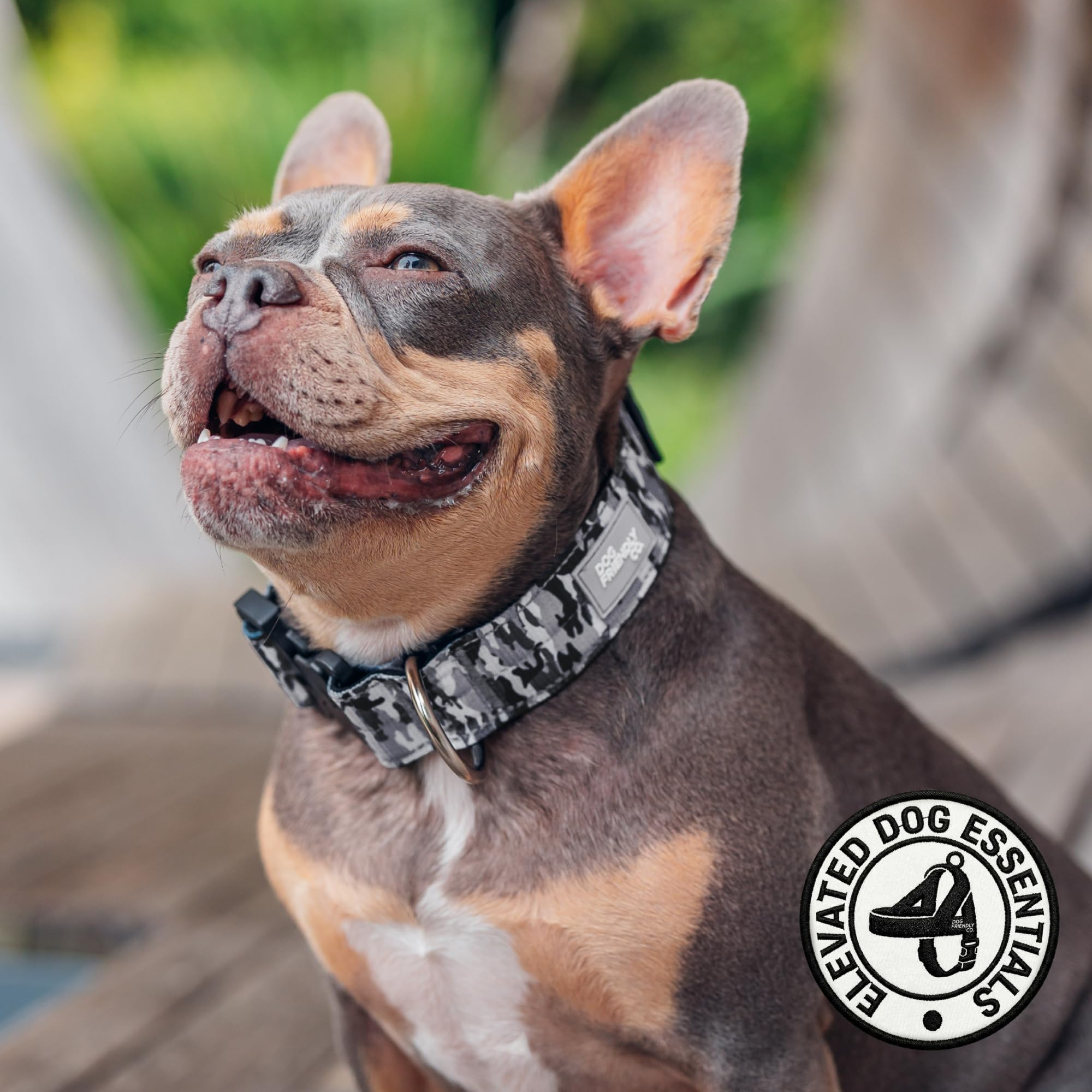 DF Co. Collar táctico para perro, cómodo y seguro, con hebilla de clip de liberación rápida y anillo en D resistente, neopreno acolchado suave, resistente a rozaduras, visibilidad nocturna, camuflaje
