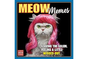 Snarky Cat Calendar 2024: The Purrfect Gift for Cat Lovers