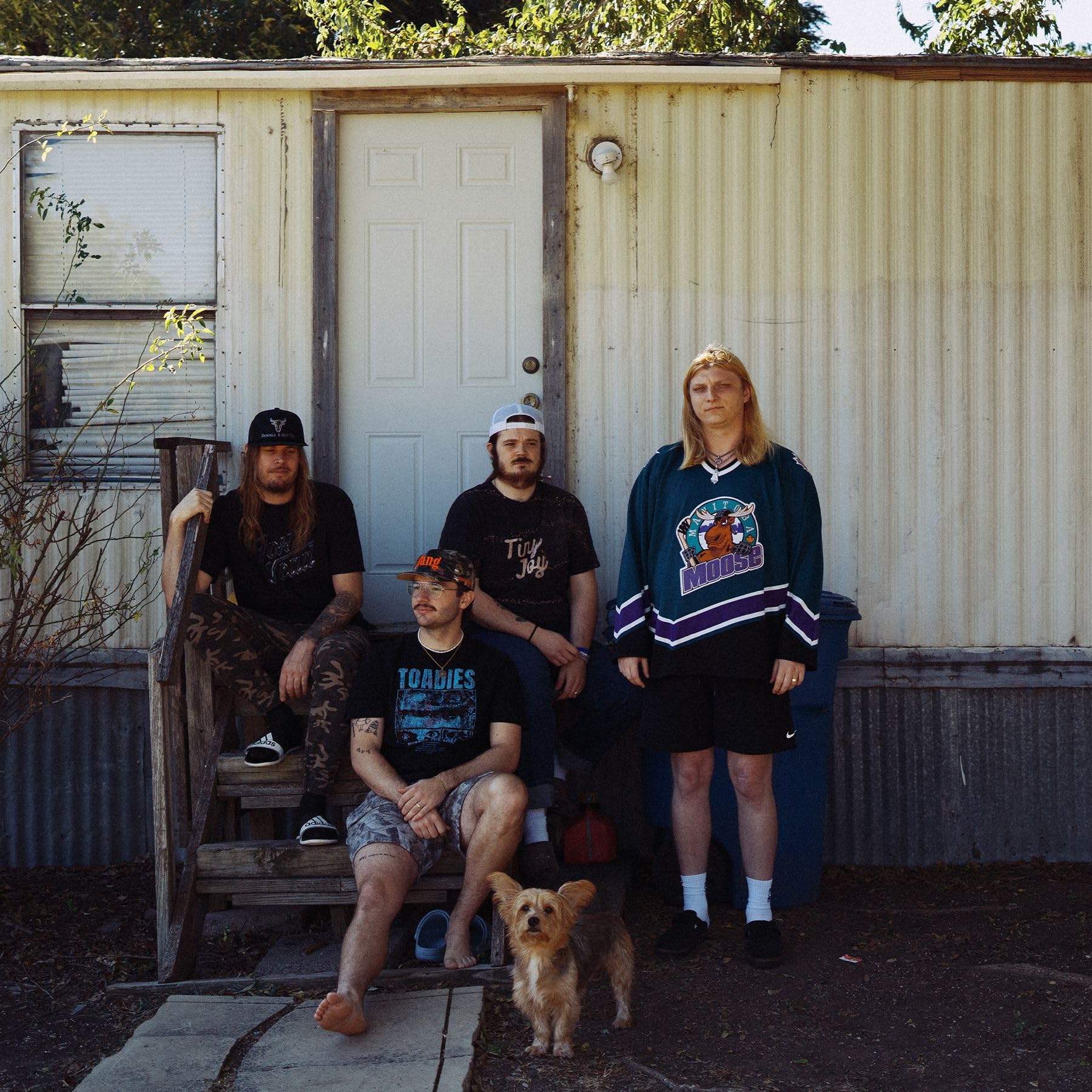 Dexter and The Moonrocks