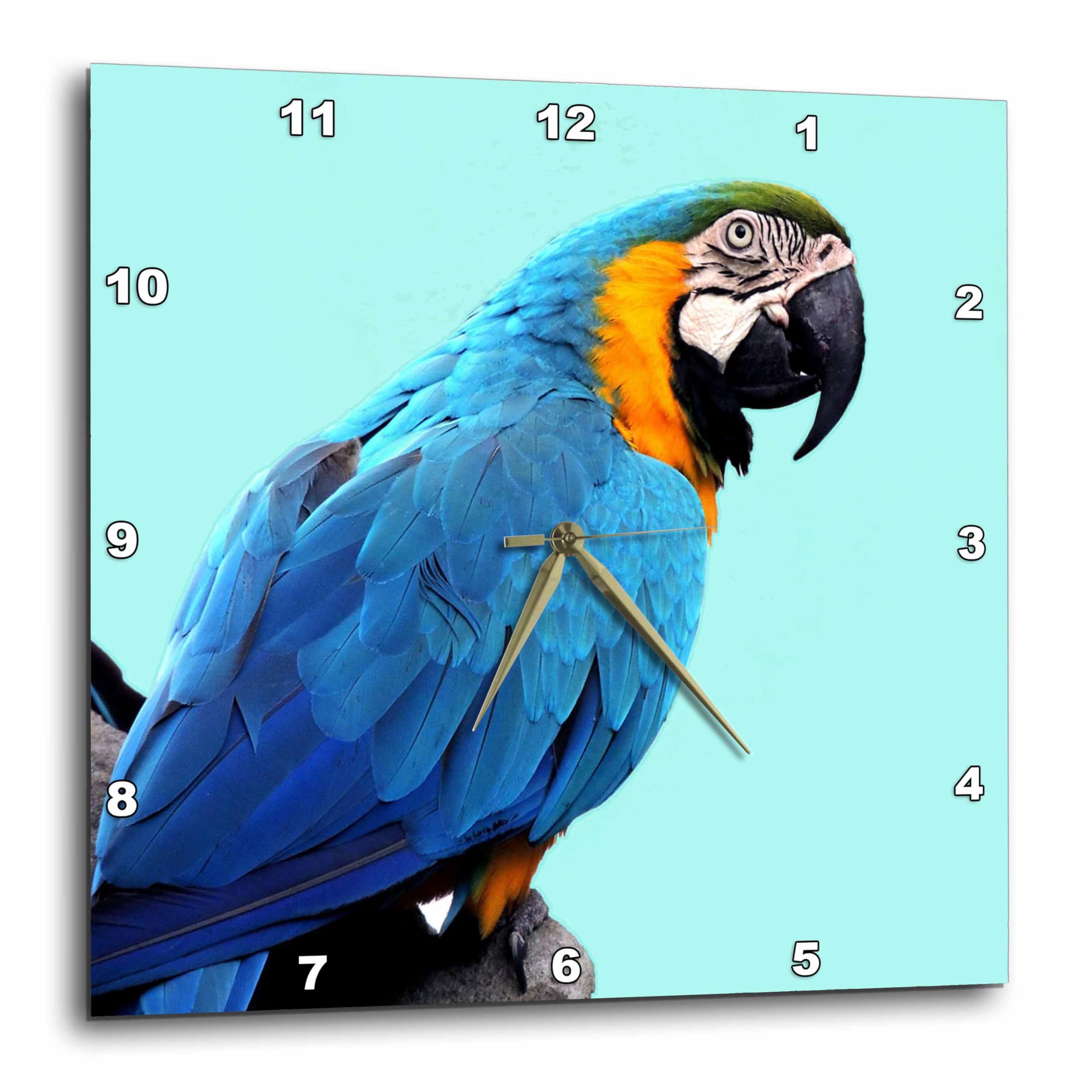Horloge murale oiseau exotique ara bleu jaune déco salon carrée 3dRose