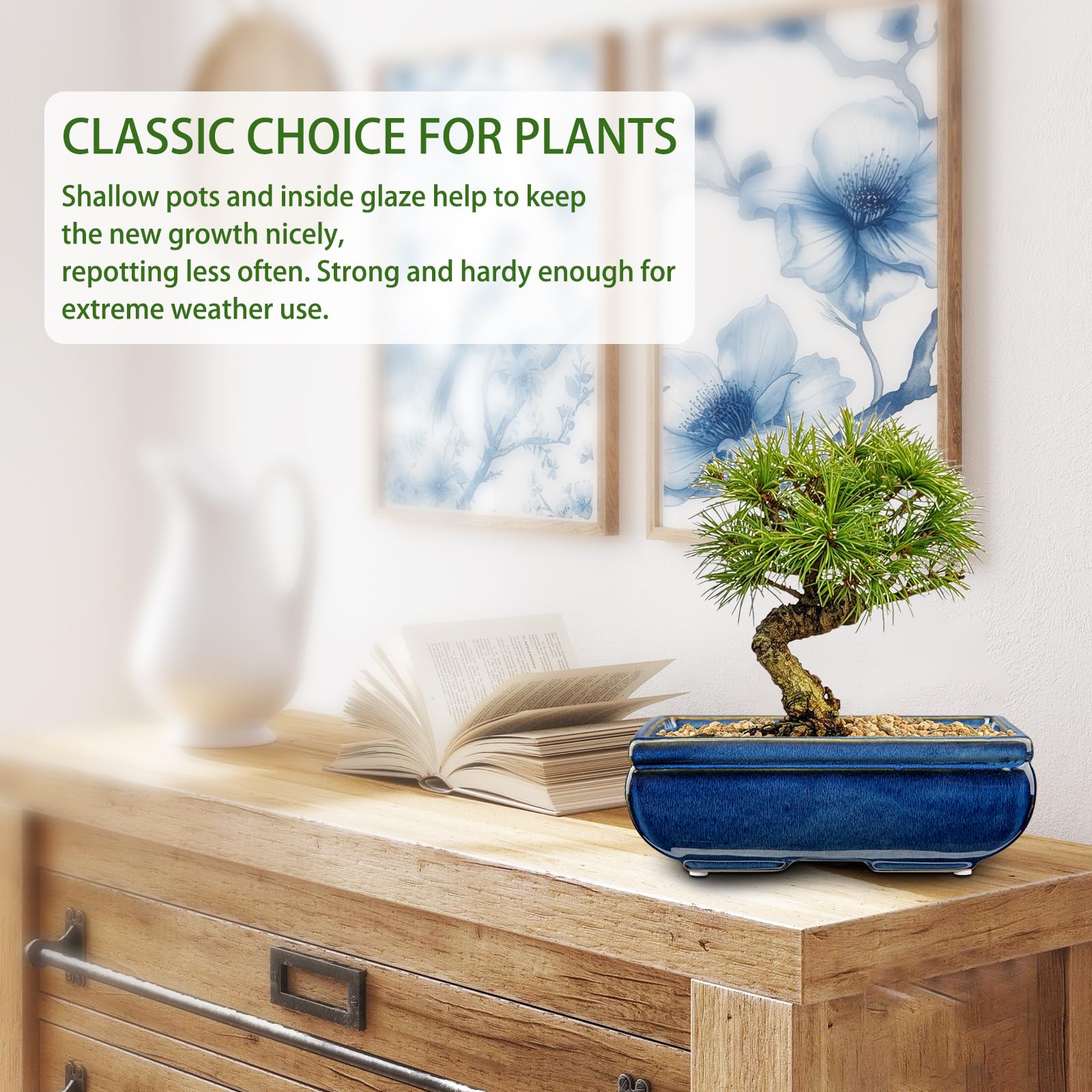 Oairse Set of 2 Bonsai Pots Shallow Succulent Planters for Live Bonsai Trees 22cm/8.7" Ceramic Plant Pot for Indoor/Outdoor Succulents with Drainage Hole - Image 3