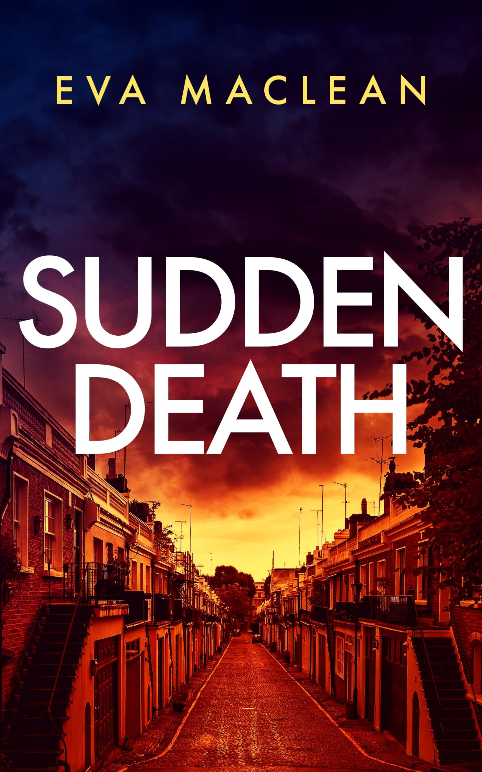 Sudden Death: A British Detective Mystery: 3 (Detective Miranda Murphy)