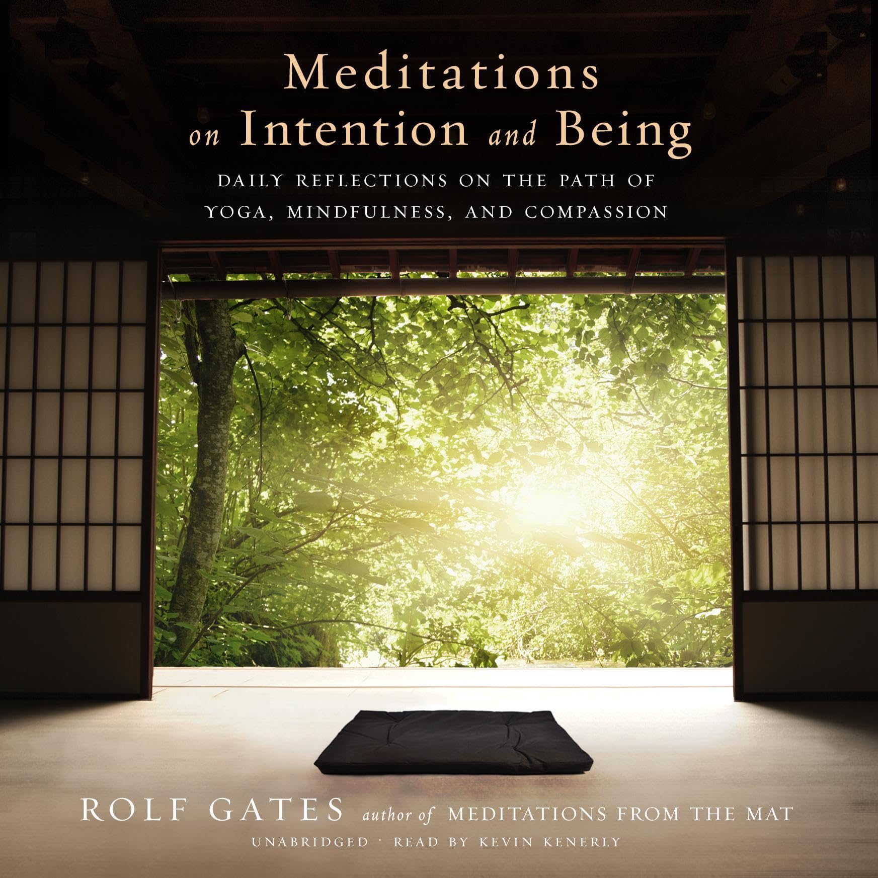 Cover art for Meditations on Intention and Being