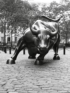AllPosters Wall Photographic Print Wall Street Bull Sculpture by Chris Bliss, 12x16