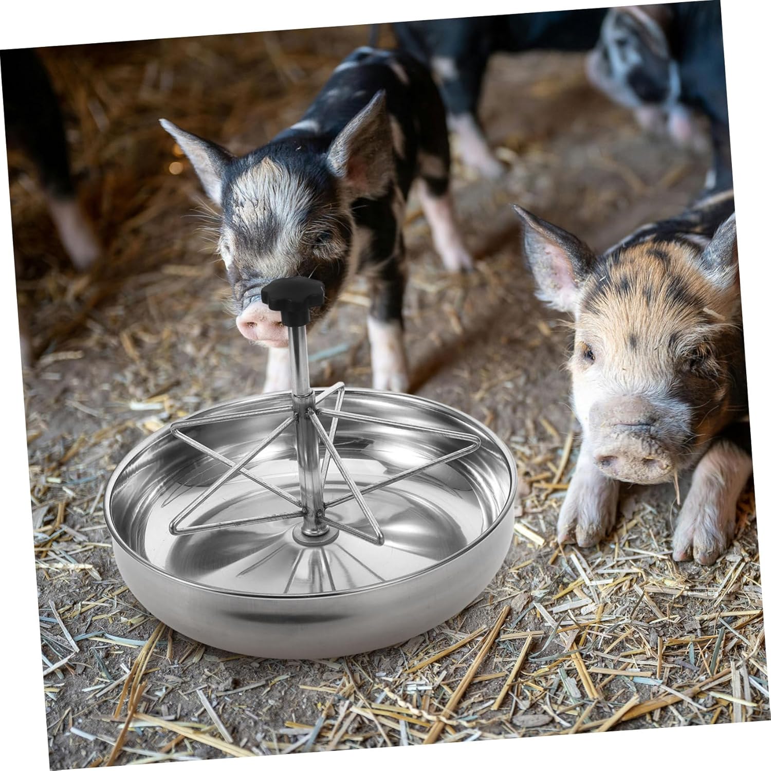 BESPORTBLE Pig Feeding Trough Stainless Steel Livestock Feeding Manger Large Capacity for Pigs and for Breeding Facilities and Nurseries
