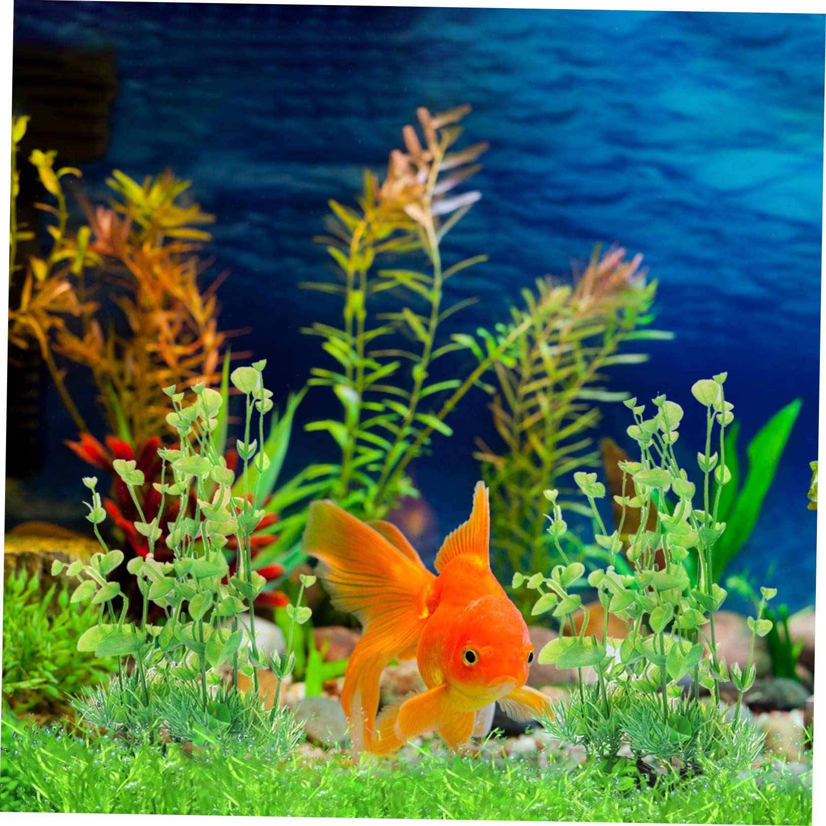 Sosoport 5 Sätze Aquarienlandschaft Aquariengras Wasser- Aquarium Pflanzen Panzer Teich Bausatz Aquariumdekorationen Klein Kleine Pflanzen Aquarienpflanze Betta-Blatt Plastik 2 Stück * 5