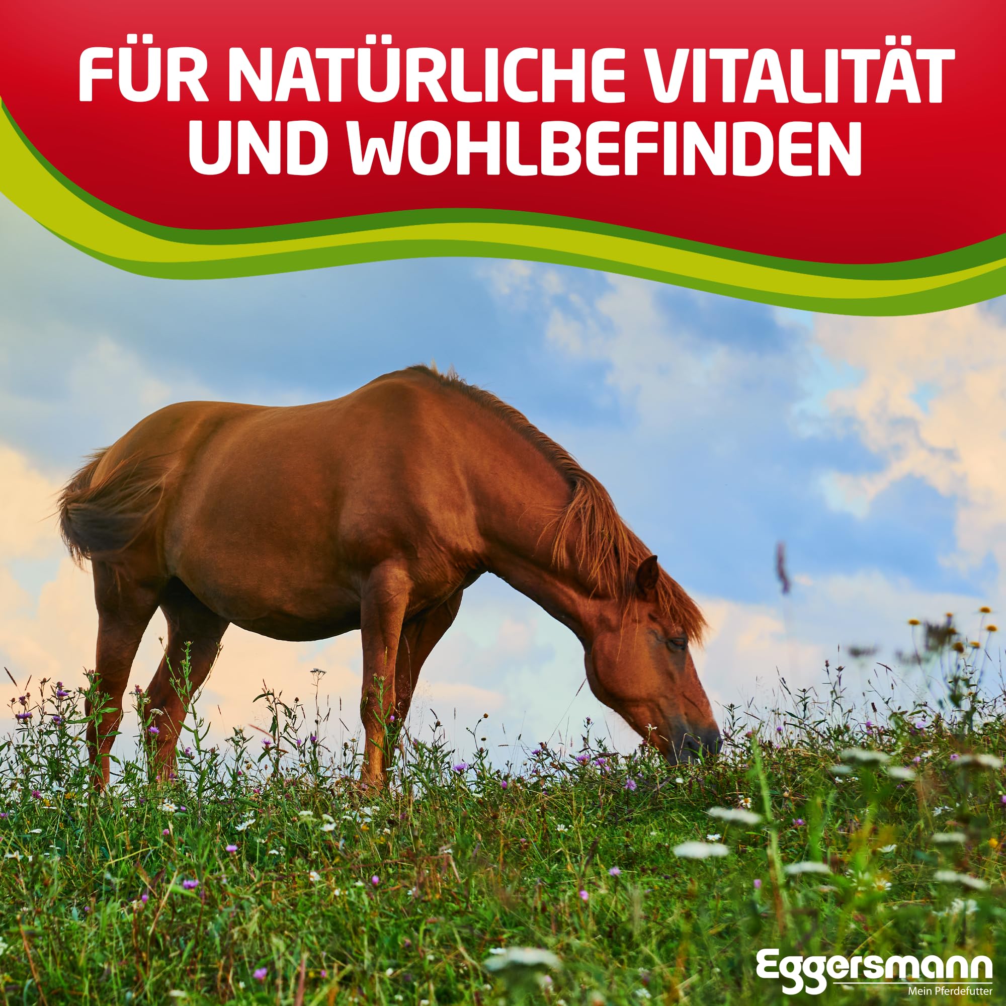 Eggersmann Mein Pferdefutter Aglio Professionale Plus 4 kg – Mangime complementare per Cavalli – Contro Mosche, Freni e zanzare – Supporta Il metabolismo e la Difesa immunitaria