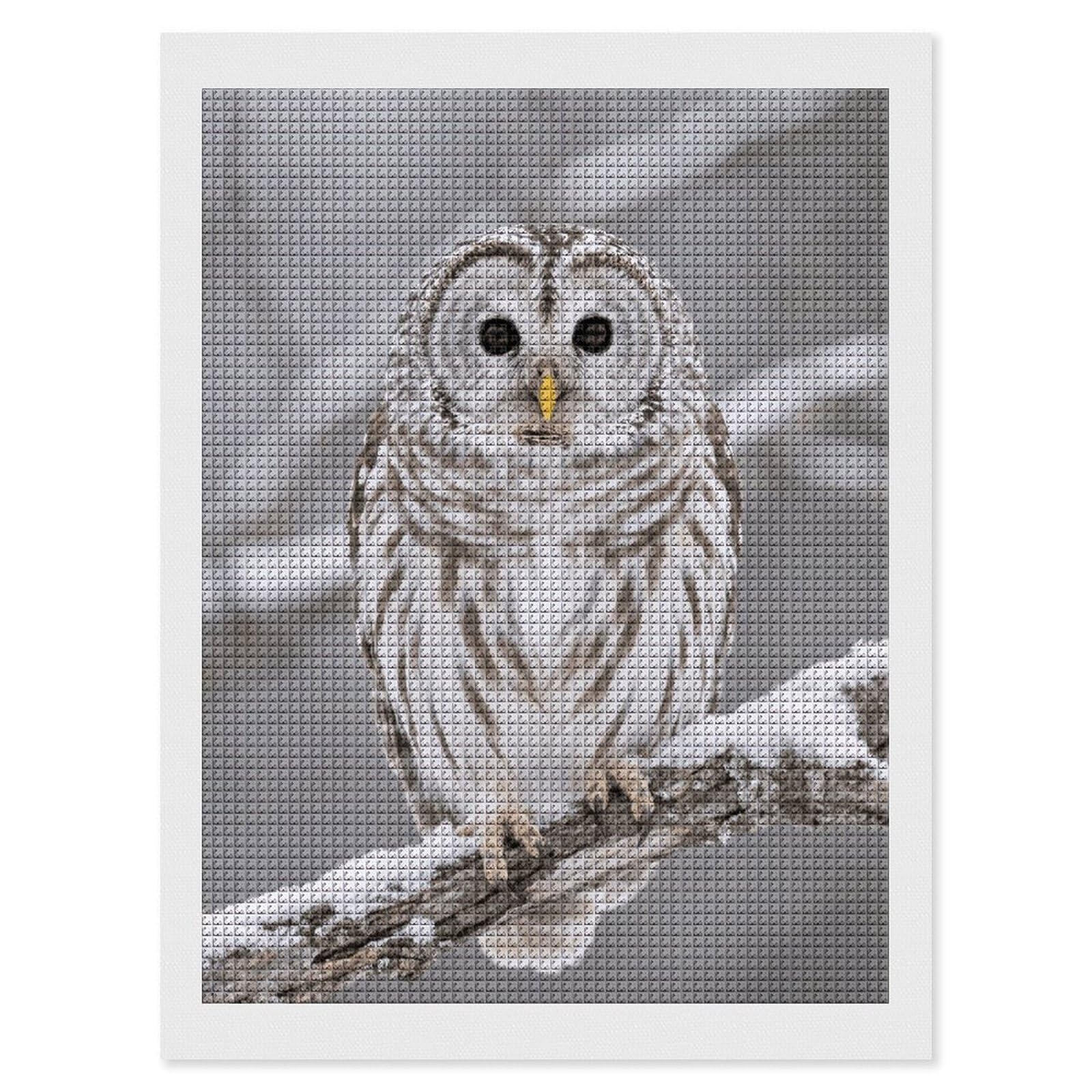 FodPand Curious Barred Owl Closeup 5D Diamond Painting Kits for Adults Beginners Full Drill Square Diamond Dots Pictures Gem Art Supplies for Home Wall Room Decoration DIY Craft Set Gift 12x16