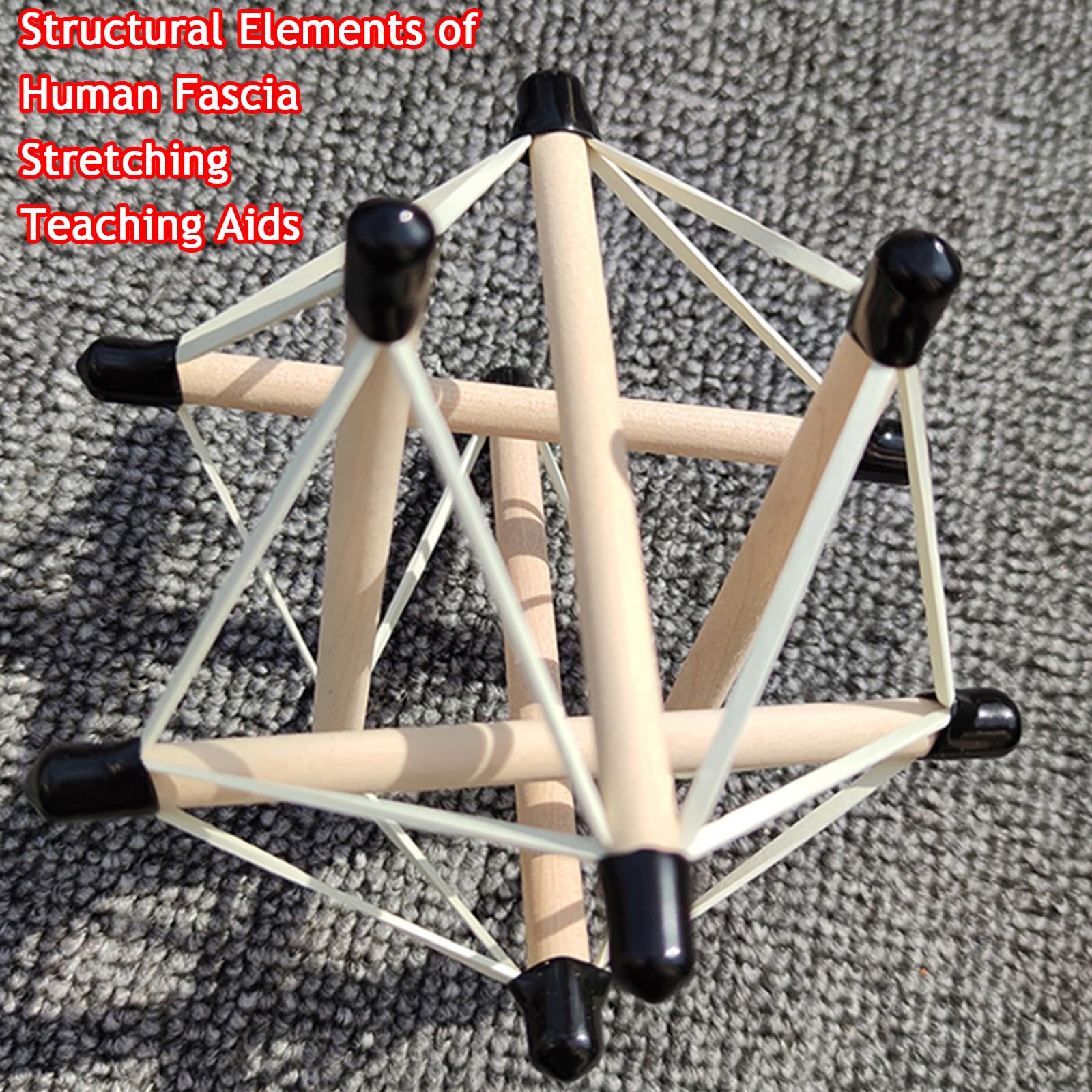 Model kręgosłupa i miednicy Tensegrity do demonstracji napięcia powięziowego, pomoc dydaktyczna do rehabilitacji dynamicznej