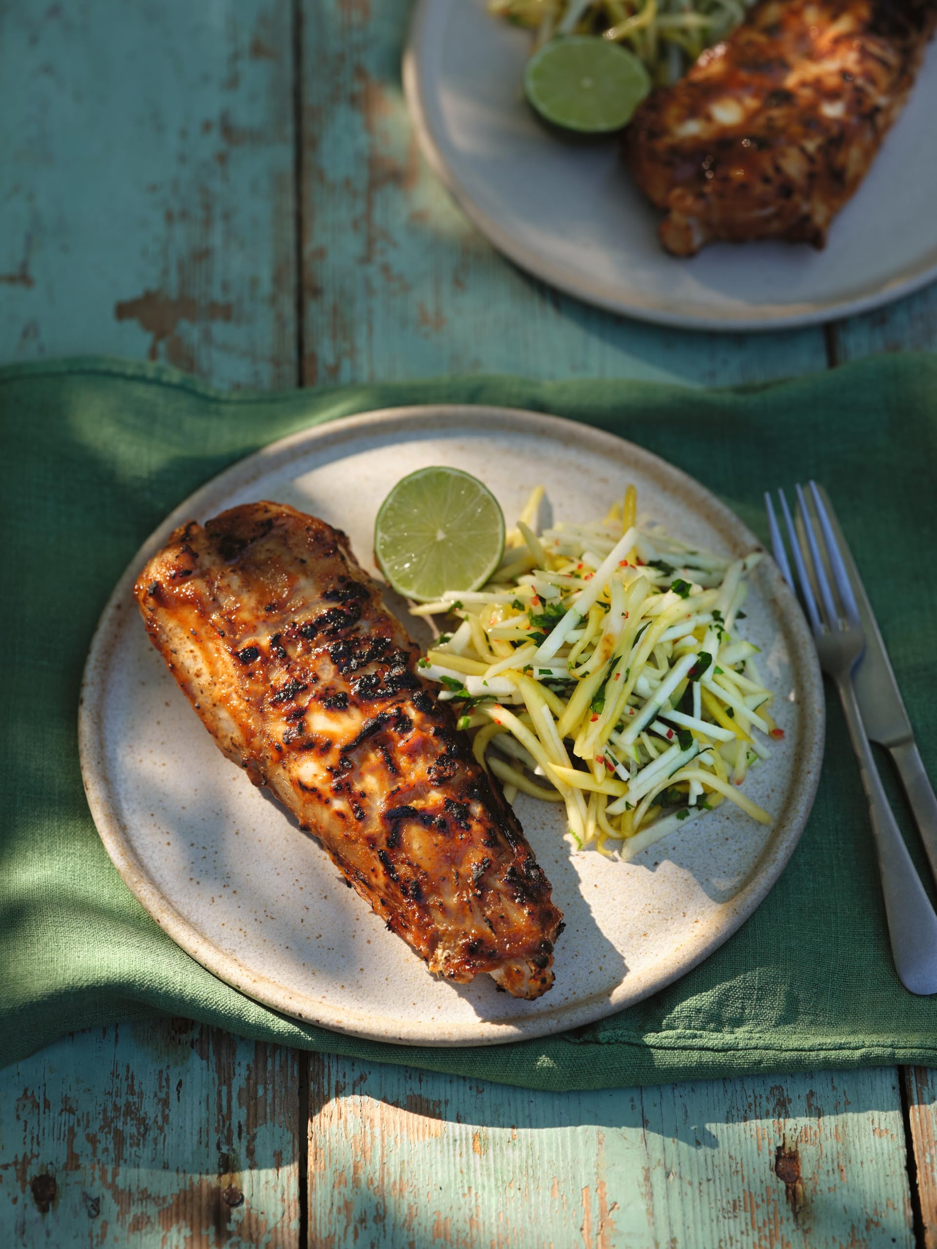 The BBQ Book: Ultimate Recipes for Your Outdoor Grill