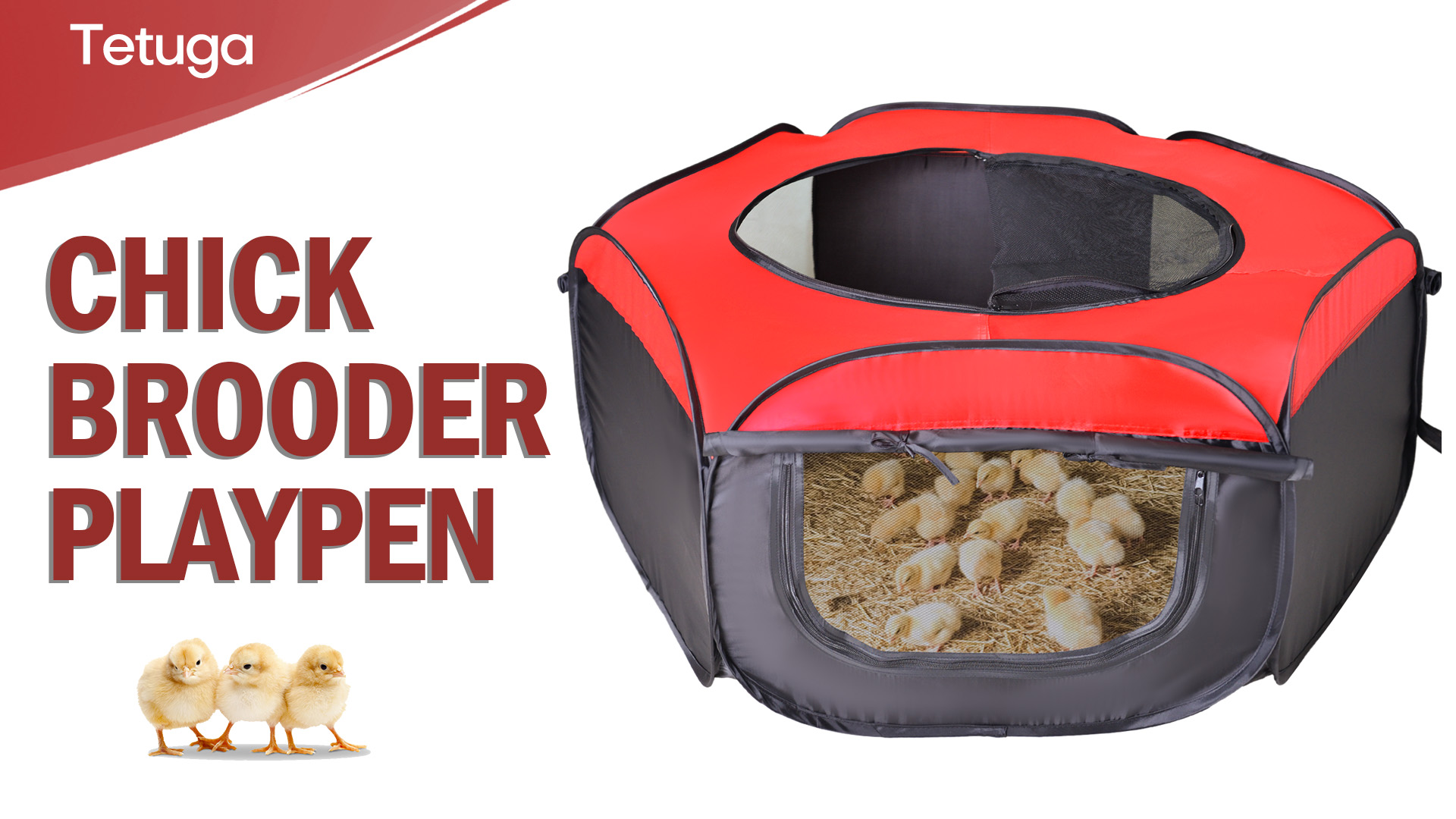 Chick Brooder Box Pop-Up With Double Door - Starter Kit For Up To 15 ...