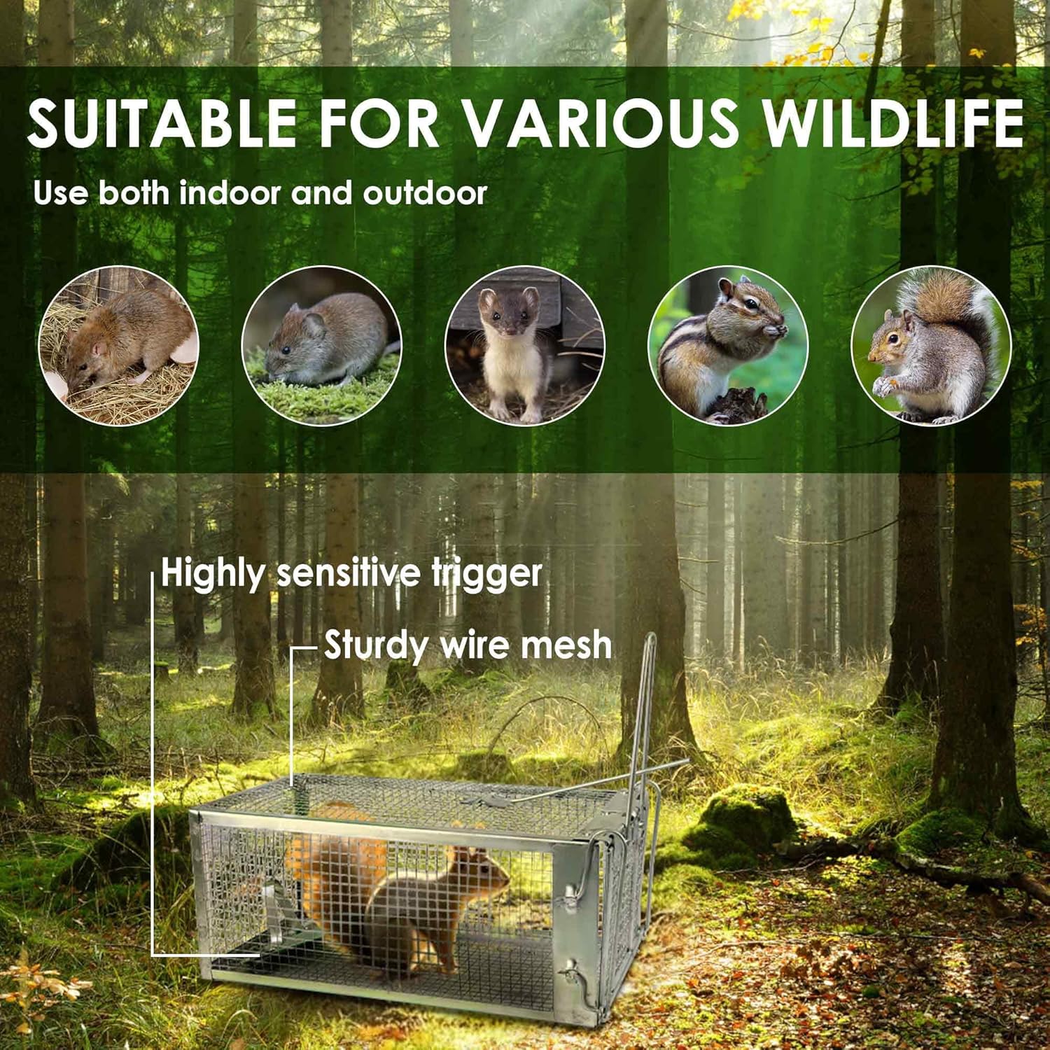 2 Pack Humane Rat Cage Trap - Metal Live Animal Trap for Rats, Mice, Squirrels, Easy Catch & Release, Reusable Indoor/Outdoor