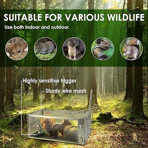 Miniatura 5 de Trampa para jaula de ratas, trampa de metal para animales vivos para ratas, ratones, ardillas, fácil de atrapar y liberar, reutilizable para