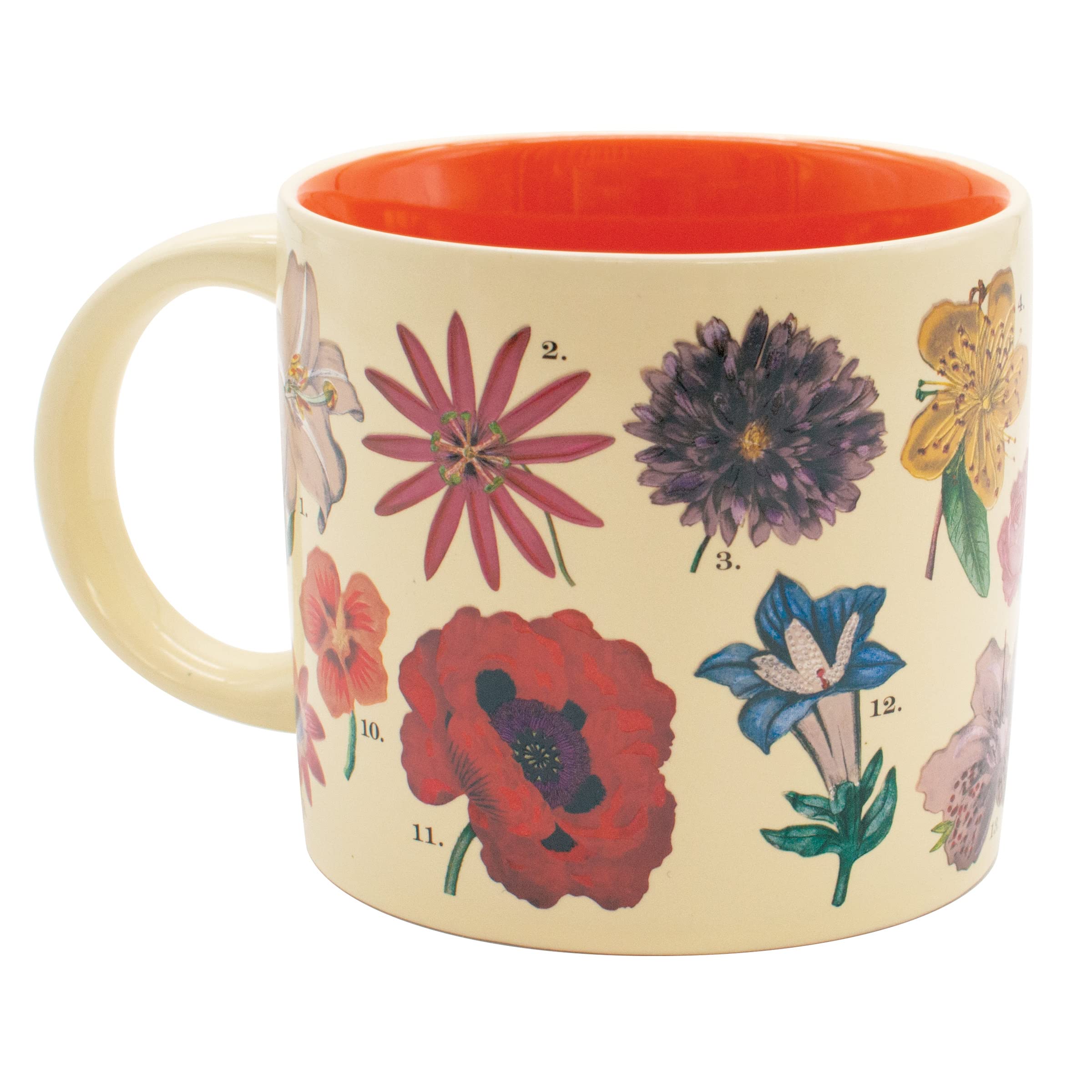 The Unemployed Philosophers Guild Heat-Changing Floral Mug - Reveal 18 Species with Hot Beverage - 14 oz Ceramic Coffee Cup