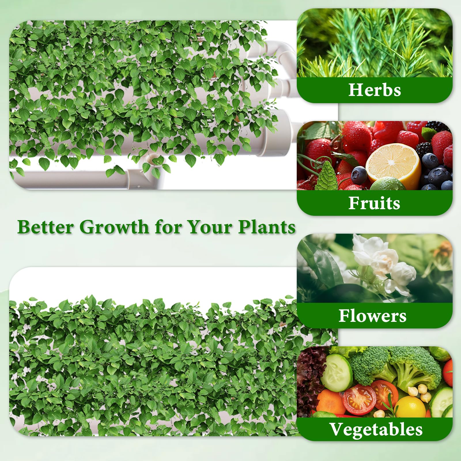 Kit de cultivo hidropónico, sistema montado en la pared con 36 sitios de plantas, tuberías de grado alimenticio, bomba de agua, temporizador, cesta nido y esponja para verduras de hoja