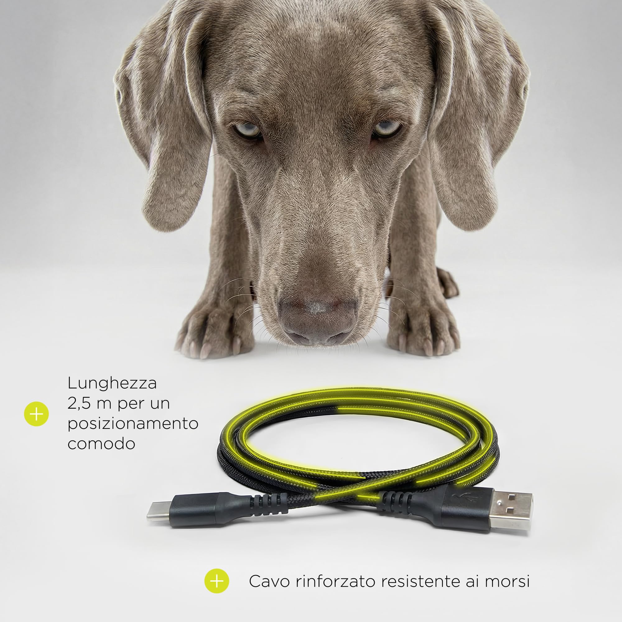 CRISPY Distributore Automatico Cibo 4,5L per Cani e Gatti con Porzioni Programmabile, Timer e Display LCD, Ciotola Acciaio, USB-C, Dispenser Crocchette e Acqua per Animali Domestici (Nero)