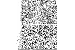 Tim Holtz Stampers Anonymous Tiny Prints Cling Stamps