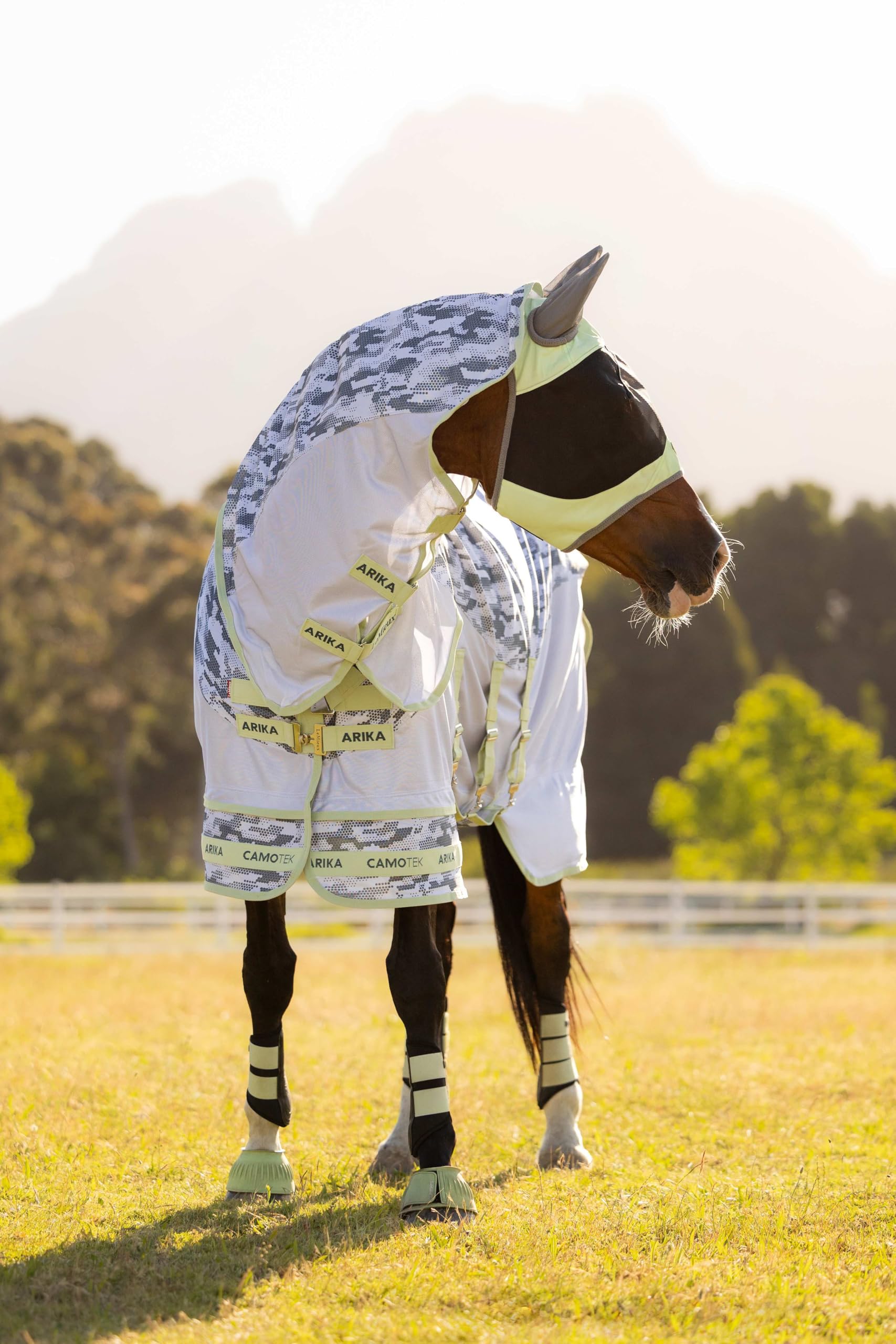 LeMieux Arika Camo-Tek Fly Rug - Alfombra de caballo ecuestre con moscas - Macaron - 6 pies 6 pulgadas