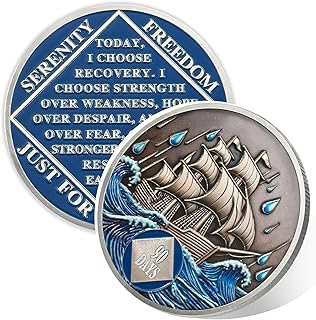 Braving The Storm 90 Days Sober Coin, Nautical NA Coin, Addiction Recovery Ninety Days Sober Chip, Celebrating Recovery Anniversary Token, Narcotics Anonymous Sobriety Gifts for Men Women