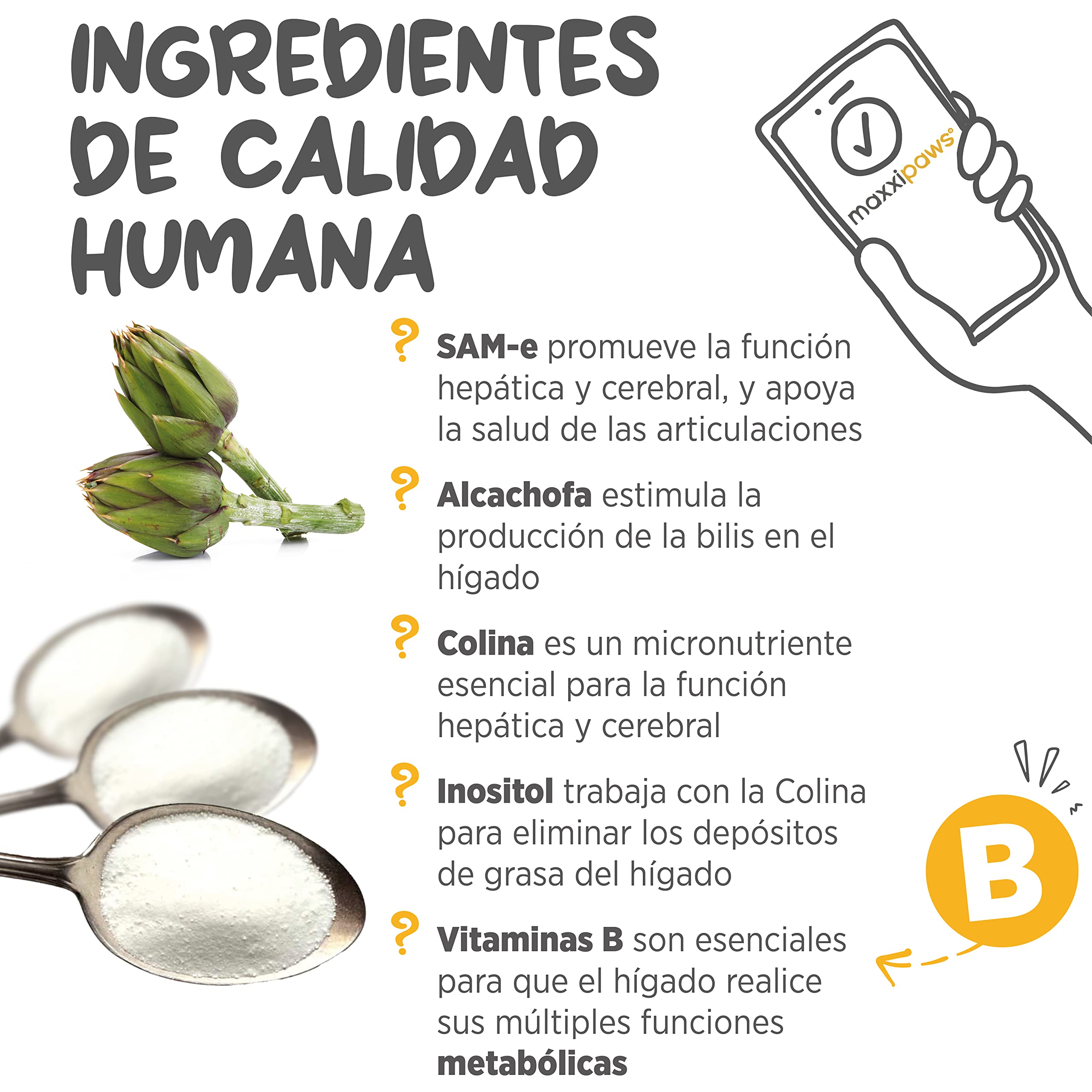 maxxipaws maxxiSAMe Suplemento en Polvo Avanzado de Sam-e – Apoyo para el Hígado, la Cognición y Las Articulaciones para Perros, 150g