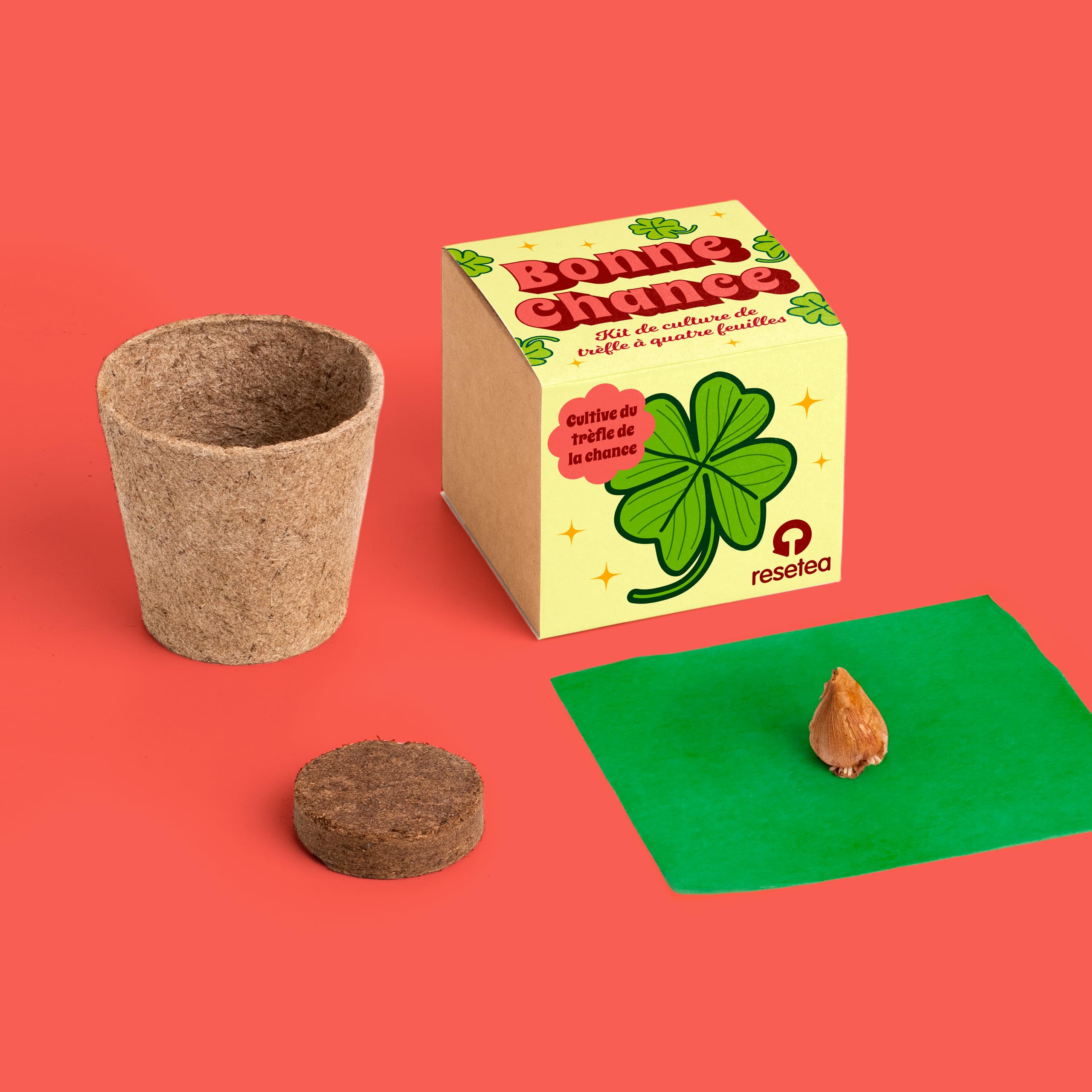 Bonne Chance - Kit de Culture Trèfle à 4 Feuilles Oxalis Deppei - Plante Naturelle de la Chance à Cultiver chez Soi – Amulette Vivante Facile à Cultiver – Cadeau Original Porte Chance – Resetea - 2