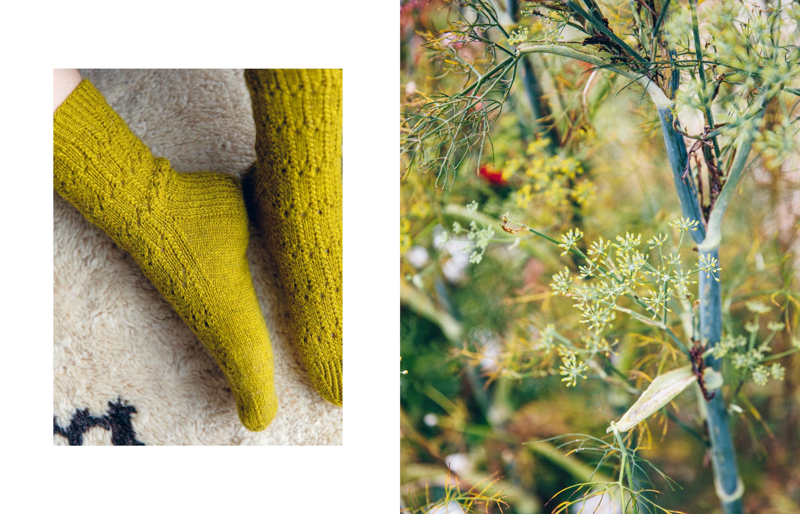 52 Weeks of Socks, Vol. II: More Beautiful Patterns for Year-Round Knitting