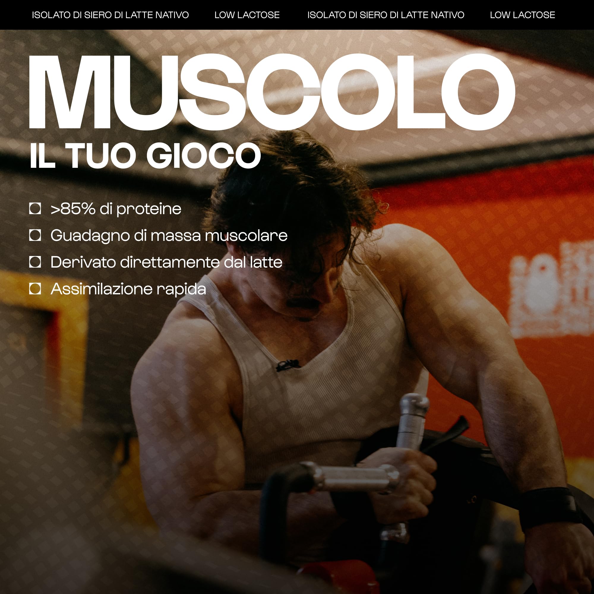 Nutrimuscle Isolato di siero di latte puro al 100% | Polvere extra proteica (90%) - Latte francese - Bodybuilding e fitness | Gusto Cioccolato Naturale (1,5 kg (confezione da 1))…