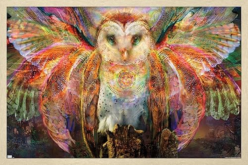 Vista 47 de Trends International Jumbie - Owl Wall Poster, 34L x 22.4W, Mahogany Framed Version