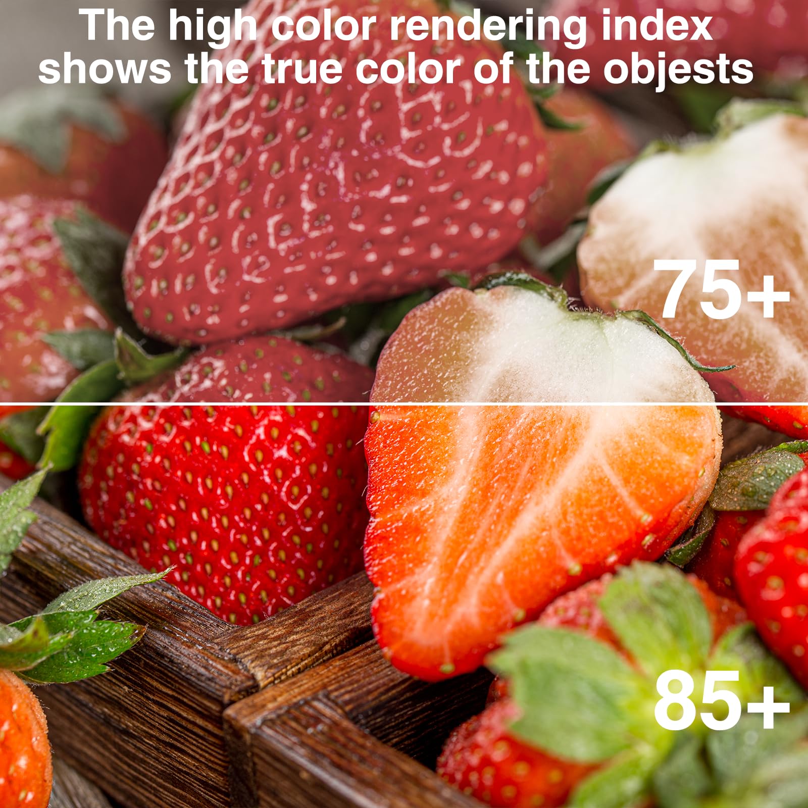 12V LED Light Bulbs 12W 1050LM Daylight 5000K 80W Equivalent 12-24Volt Low Voltage E26 Base AC DC Light — view 5