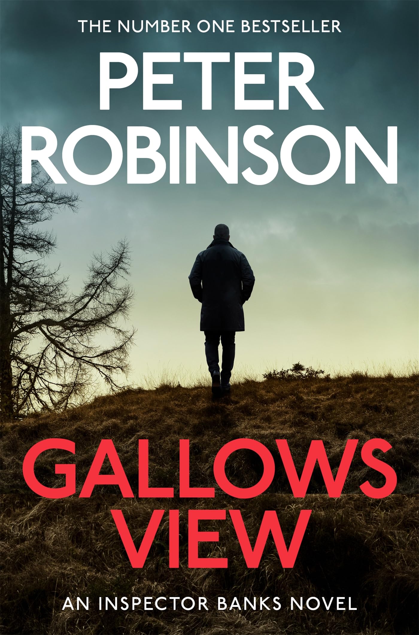 Kindle eBooks in English